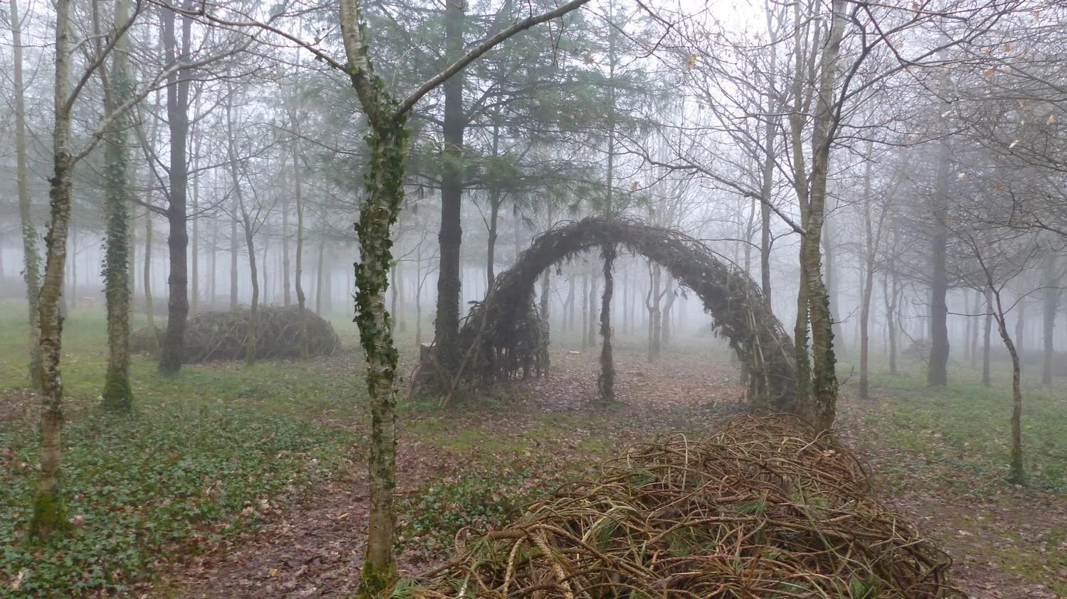P1030521_gate.jpg