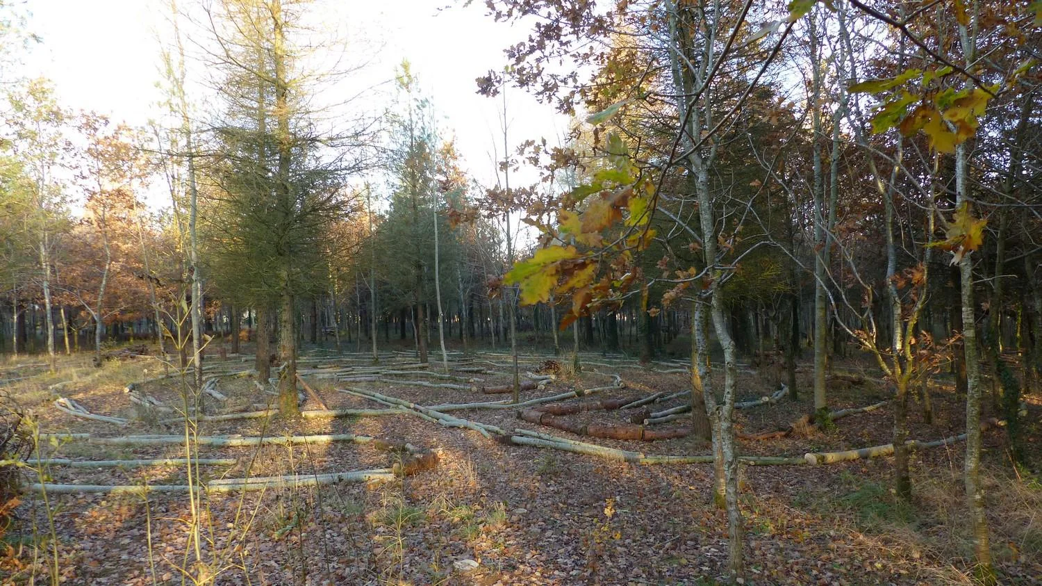 Using logs to layout the labyrinth