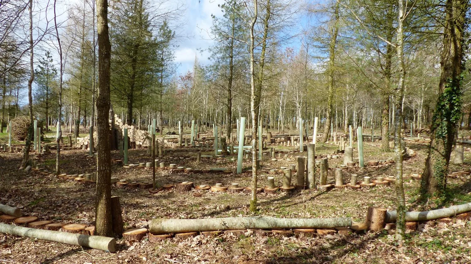 New trees planted into labyrinth walls