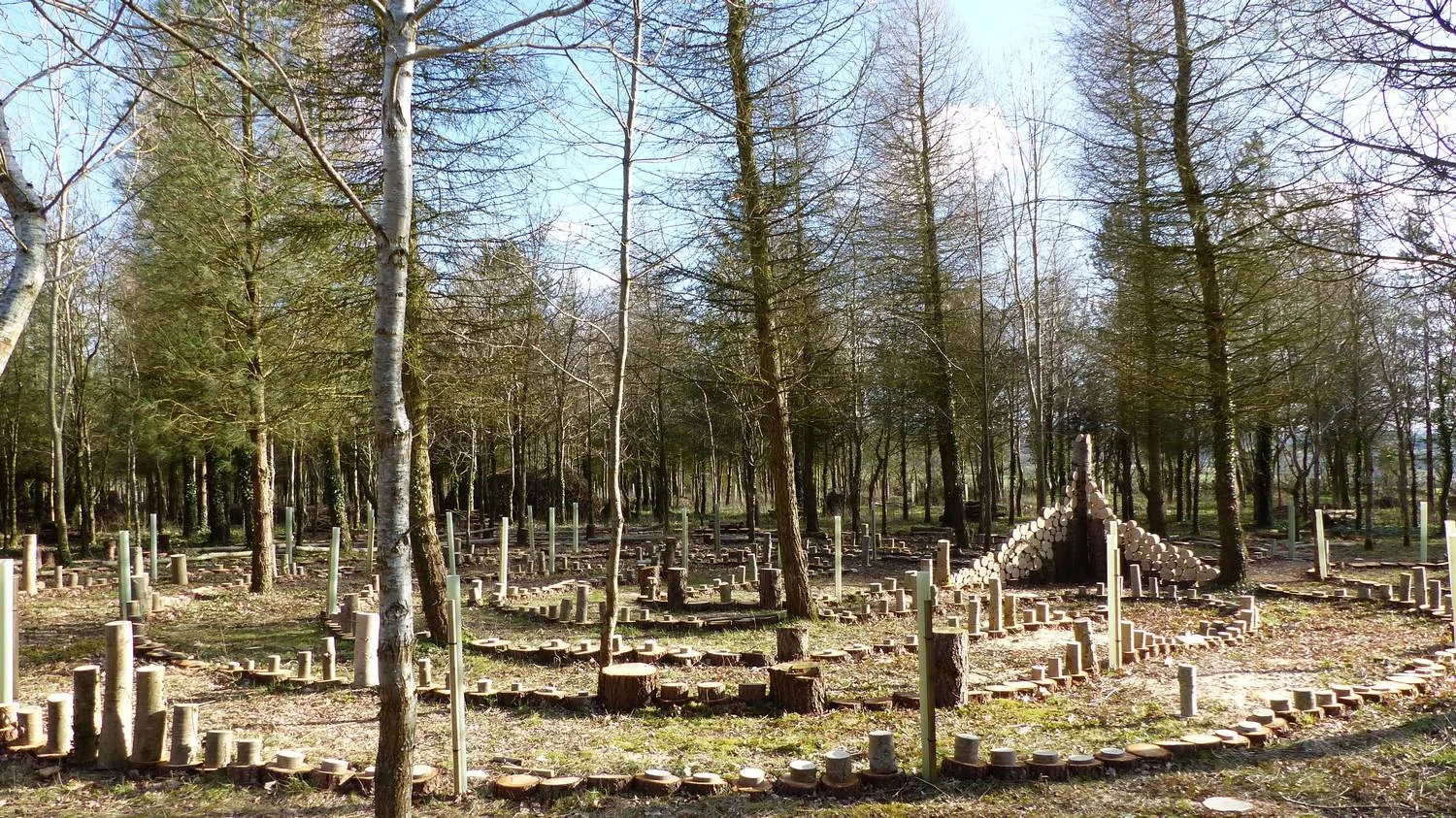 View of labyrinth from north