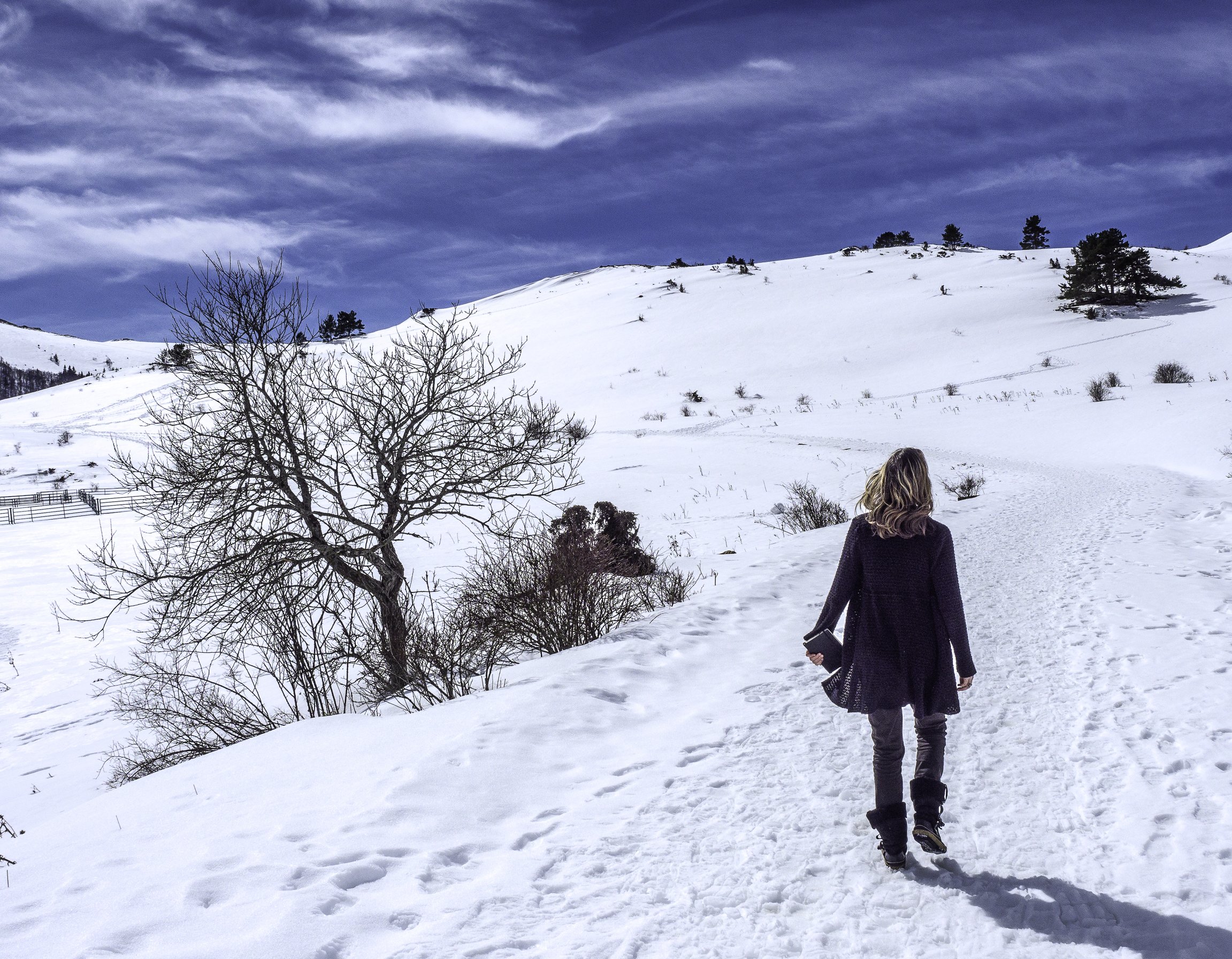 Writing and Storytelling: To Survive, and to Thrive