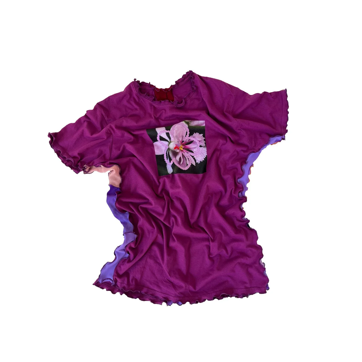 violetflwr.jpg