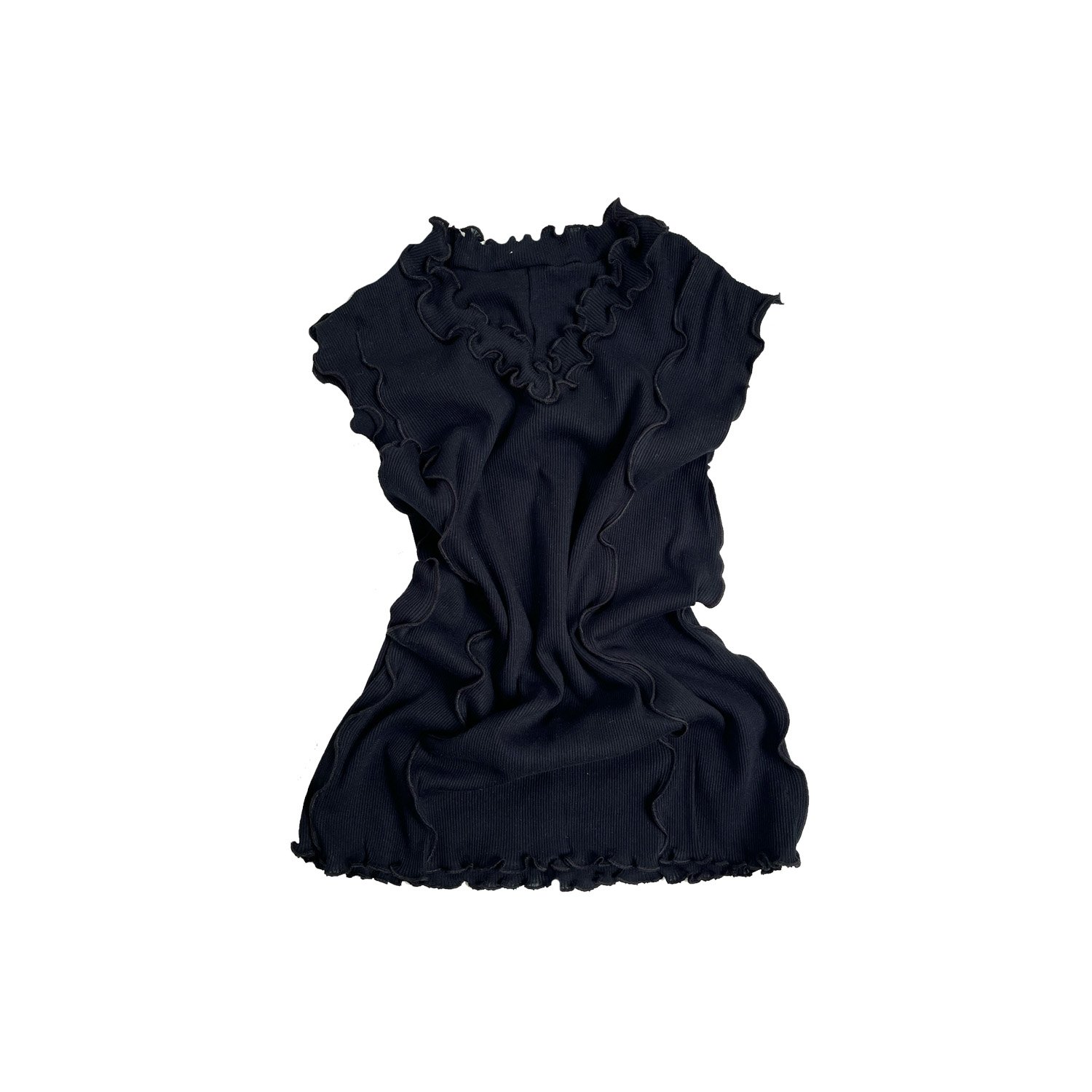 blackvneck1.jpg