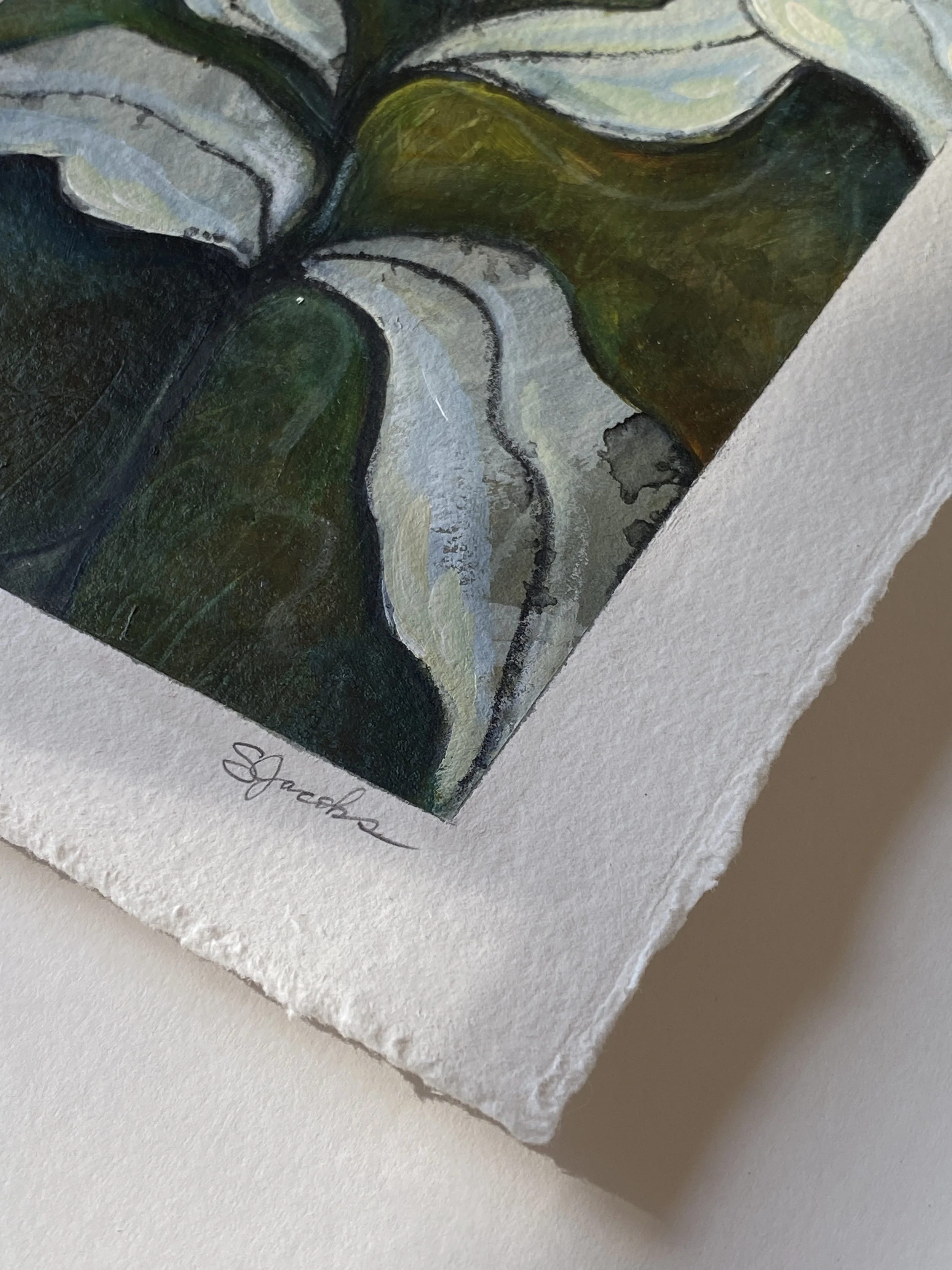 GreenLeavesOnPaper_FSignature_ShelleyJacobsNov2021.JPG