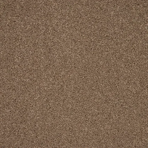 Trinity - Autumn Trail