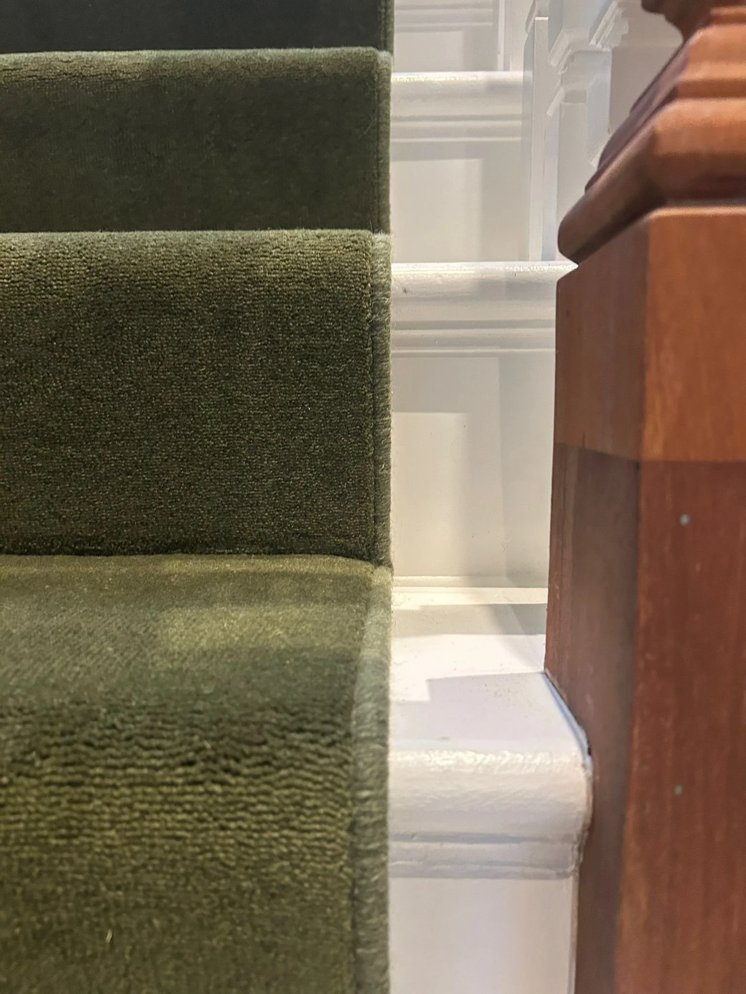 Westend Velvet - Avocado (Whipped edge)