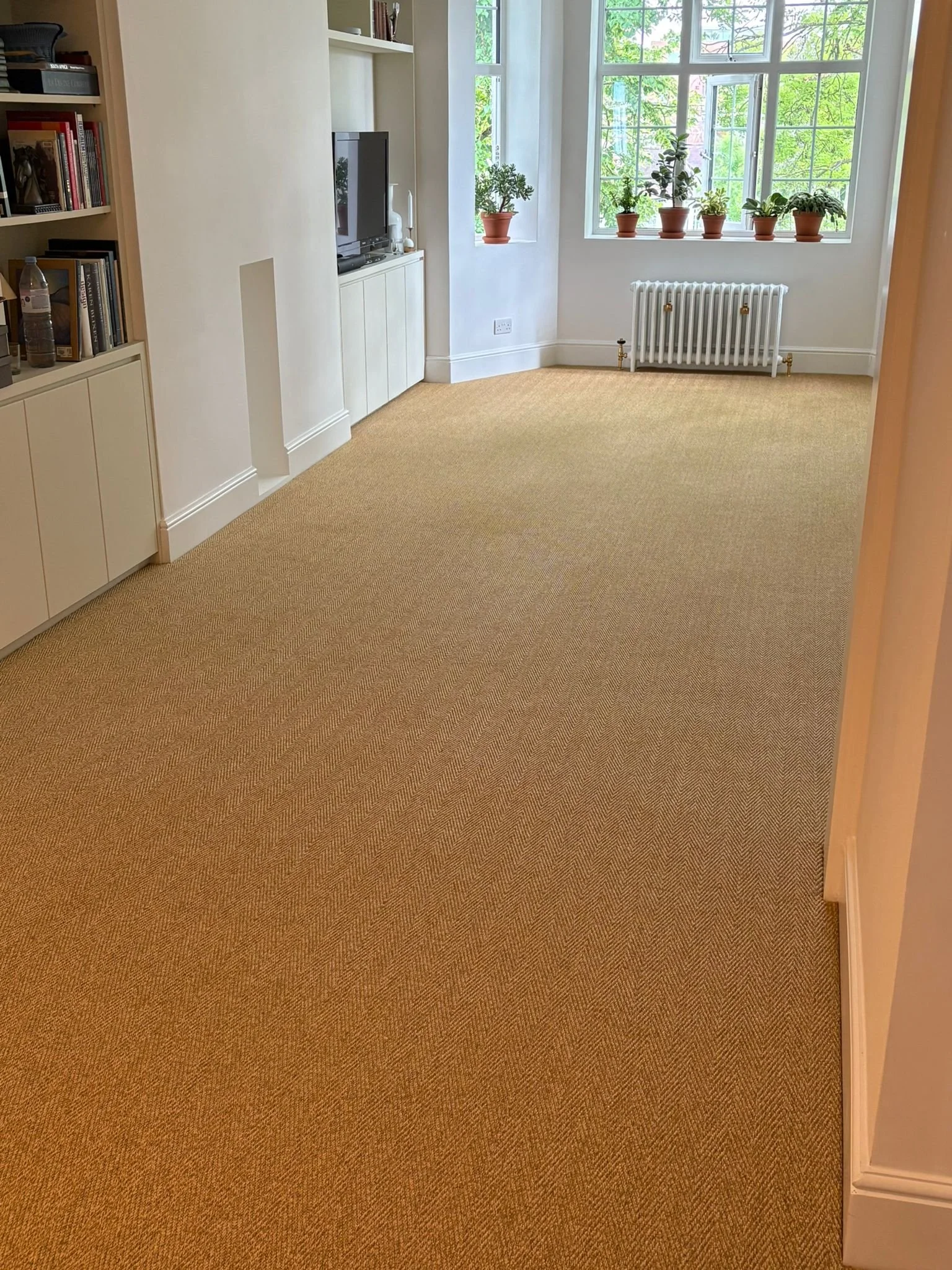 Anywhere Ca-rPET Re-set 8331