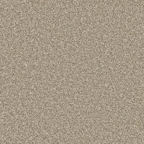 Apollo Plus - Manhattan Taupe