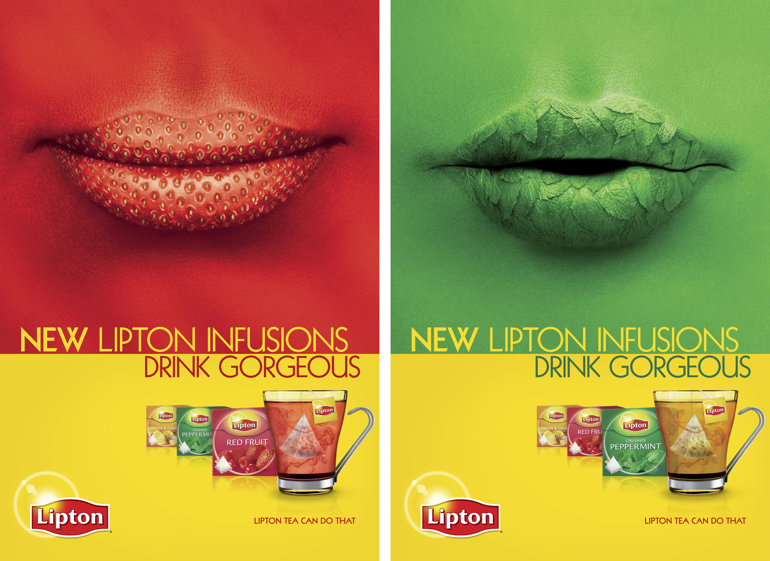 LIPTON TEA INFUSIONS – INTEGRATED, LURZER’S ARCHIVE PHOTOGRAPHY AWARD