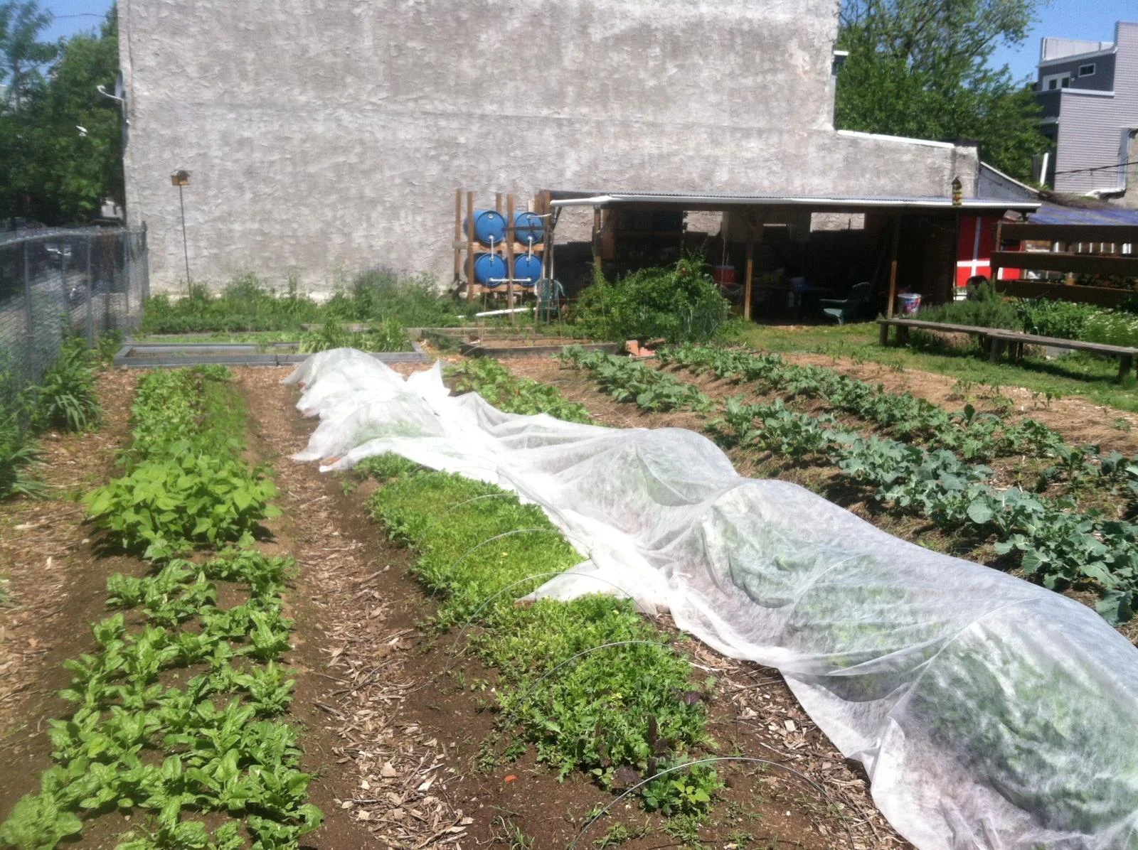 TALKING URBAN AG IN BEANTOWN