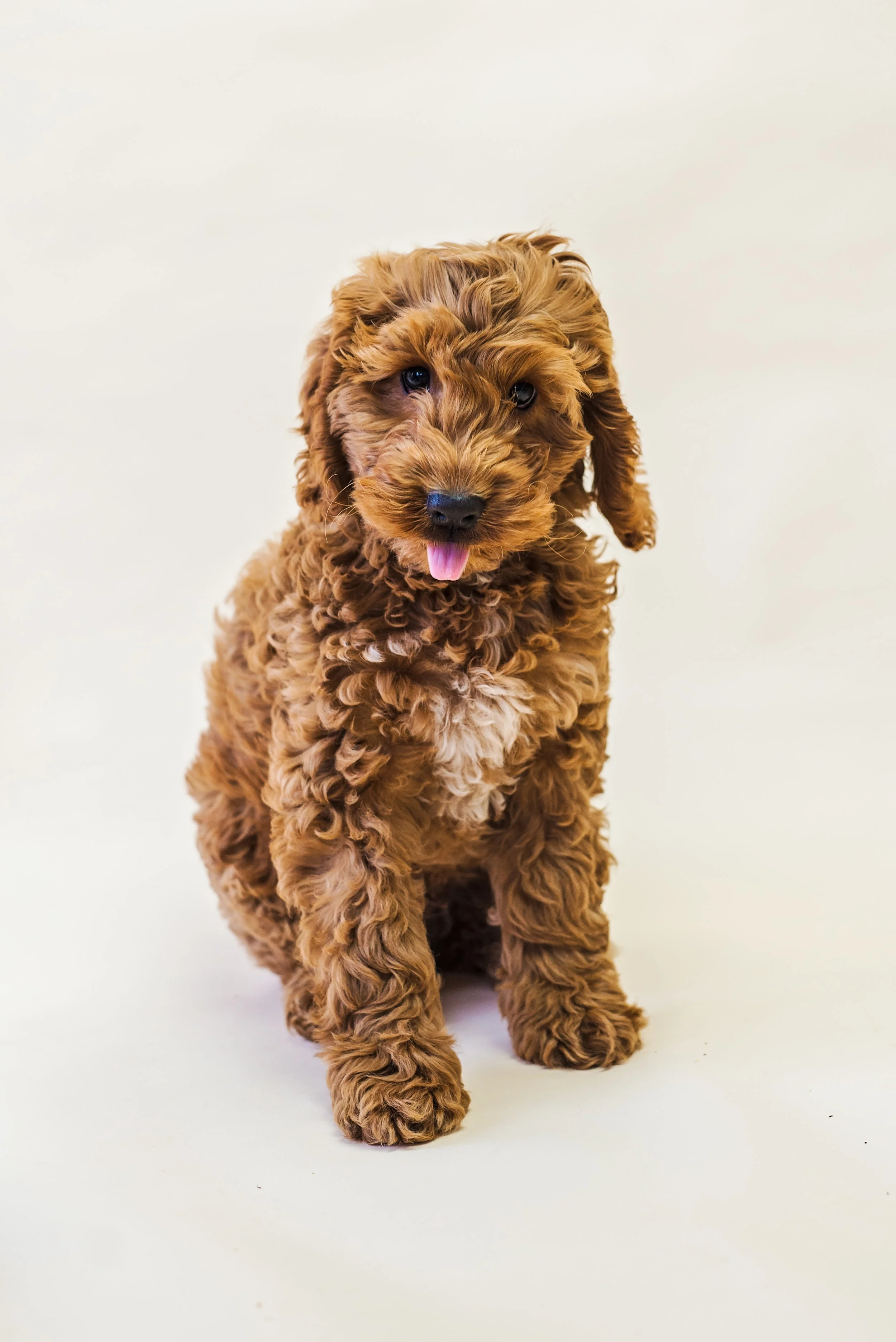 lucy-12.jpg