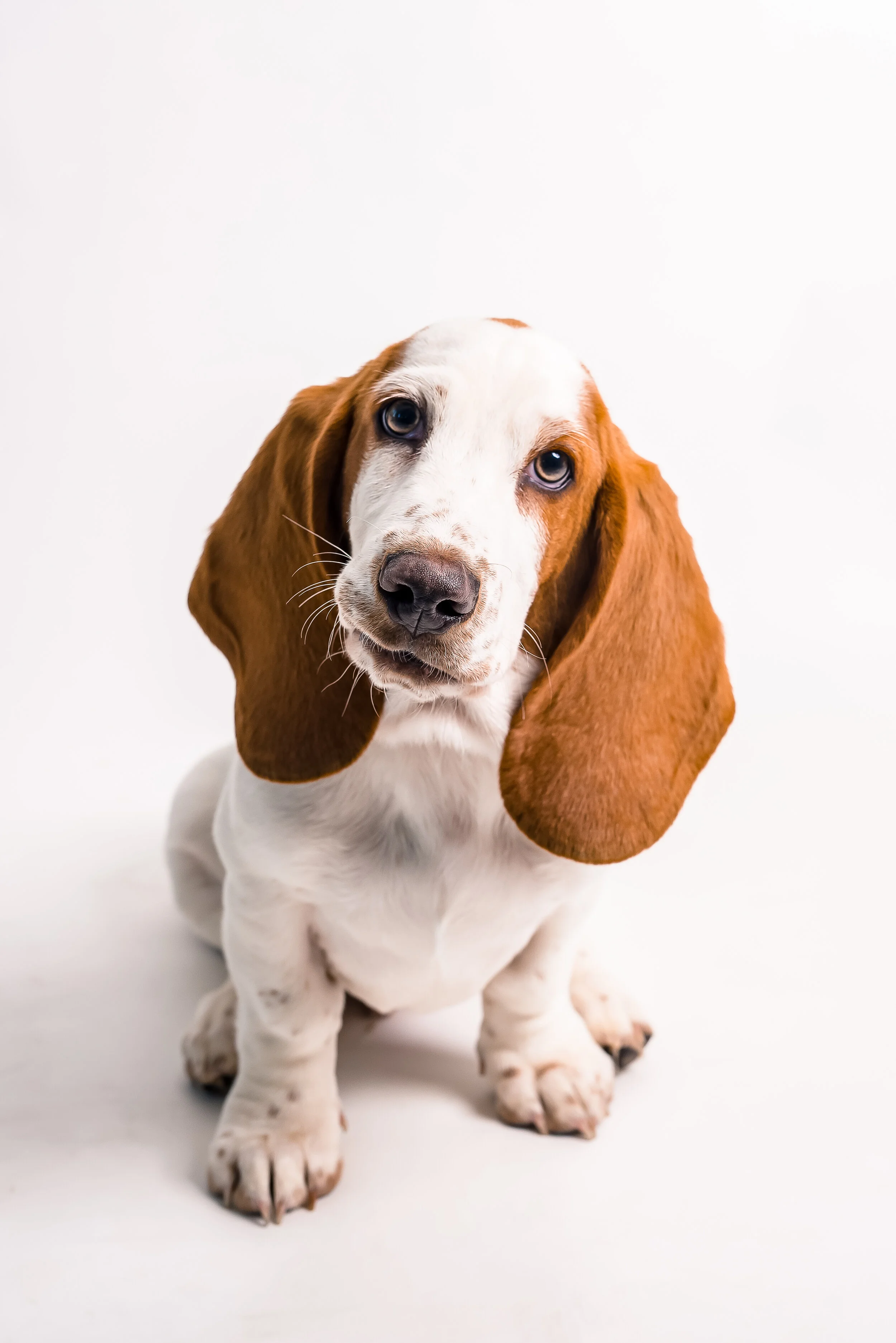 dudley (3 of 9).jpg