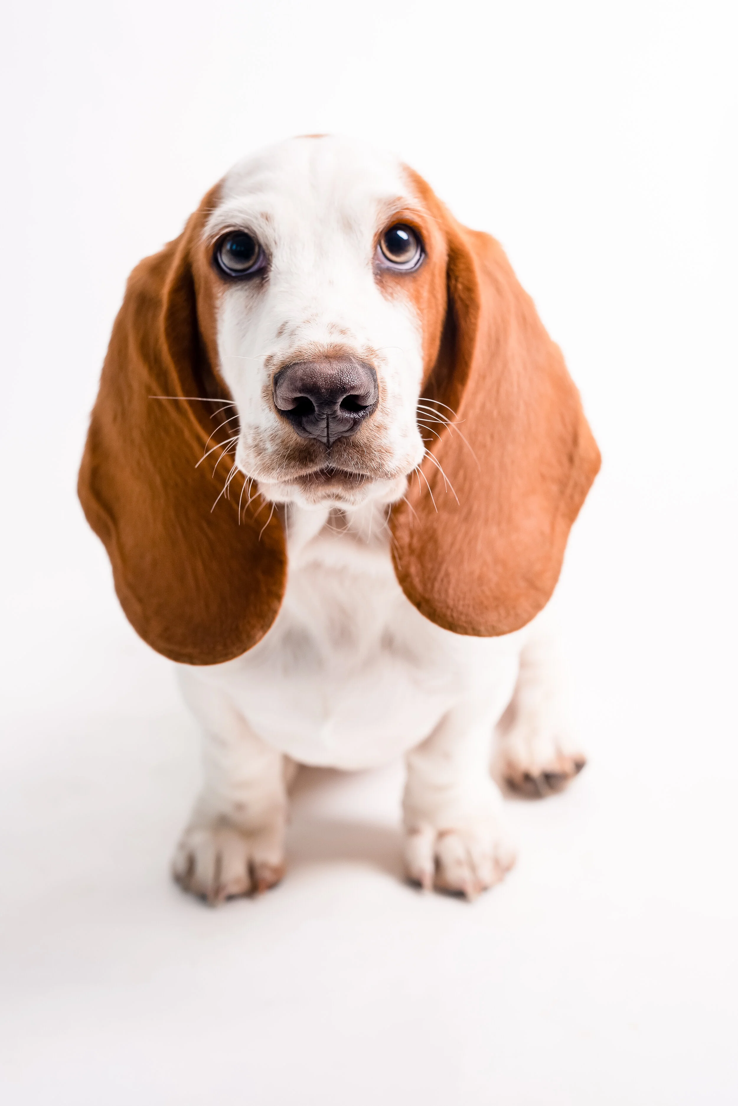 dudley (4 of 9).jpg