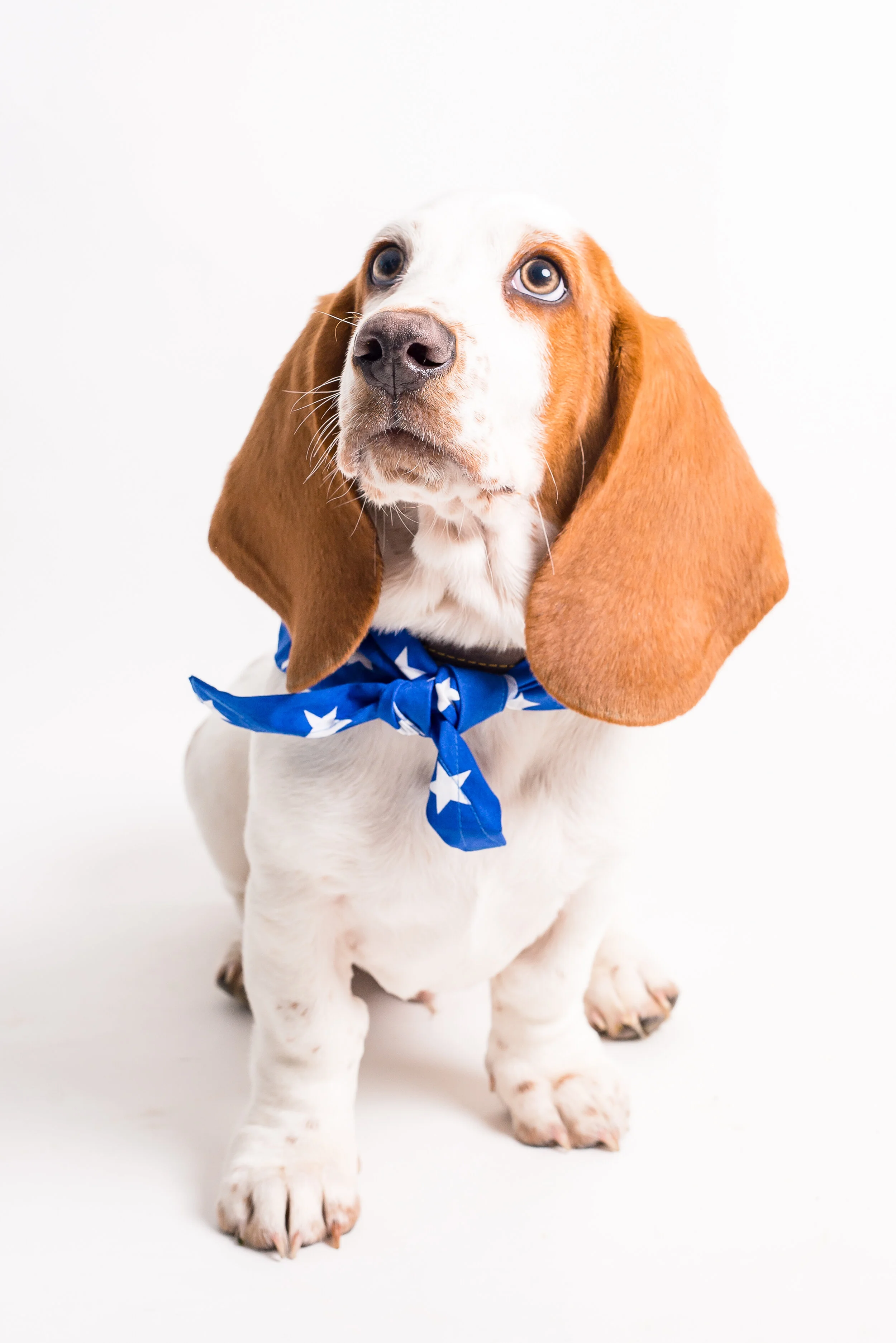 dudley (6 of 9).jpg