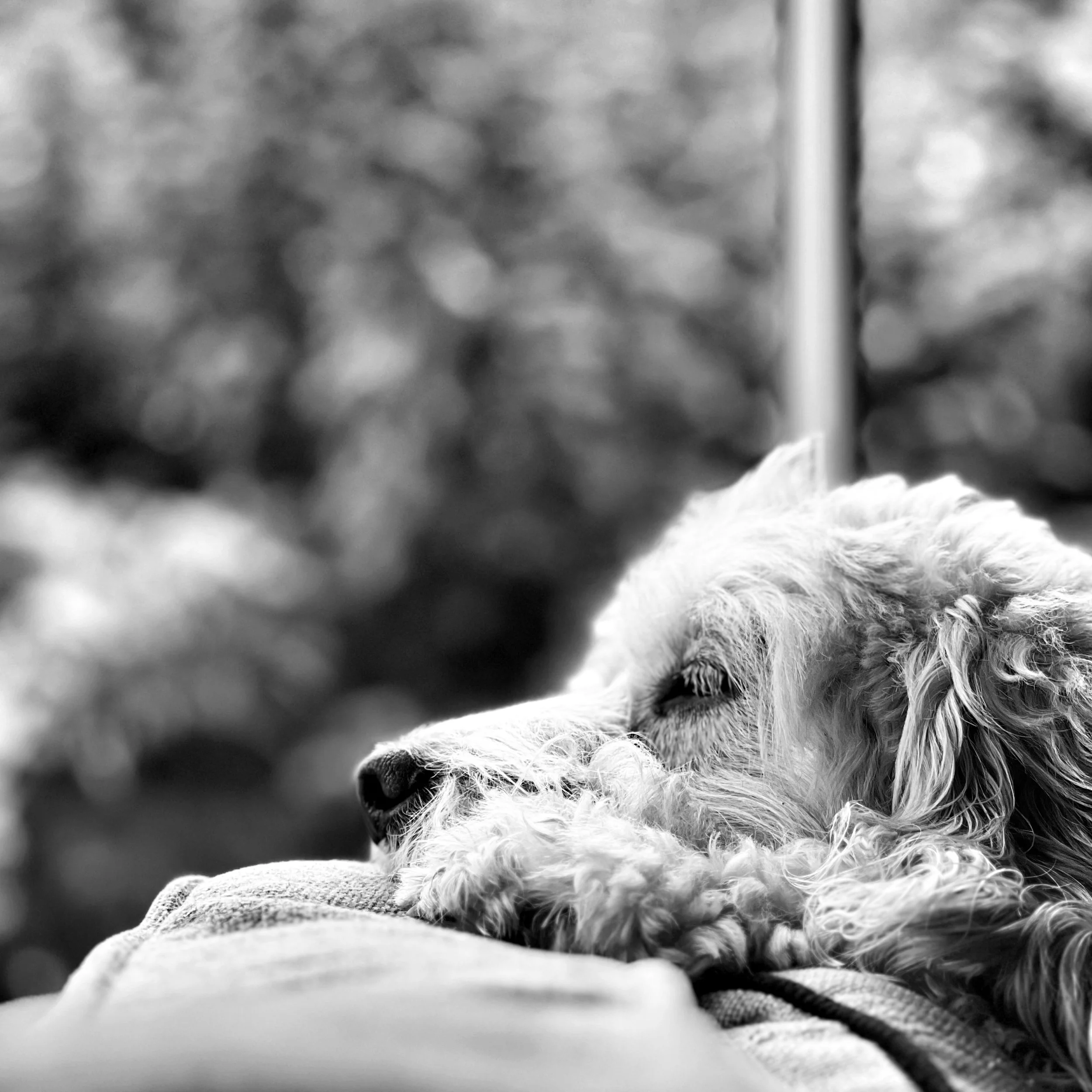 IMG_5398.JPEG