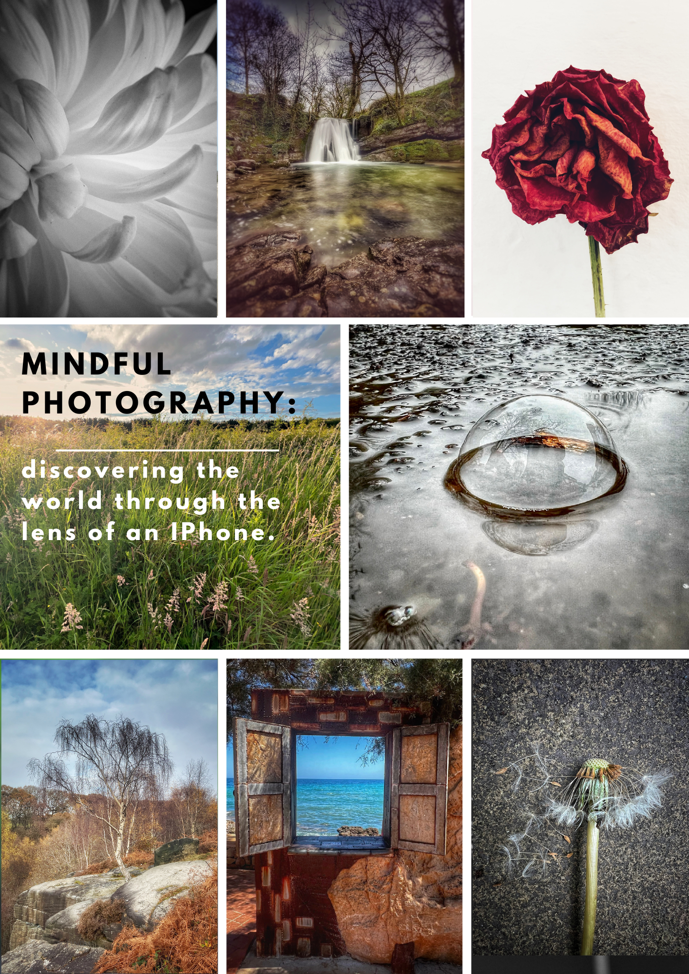 Mindful Photography.png