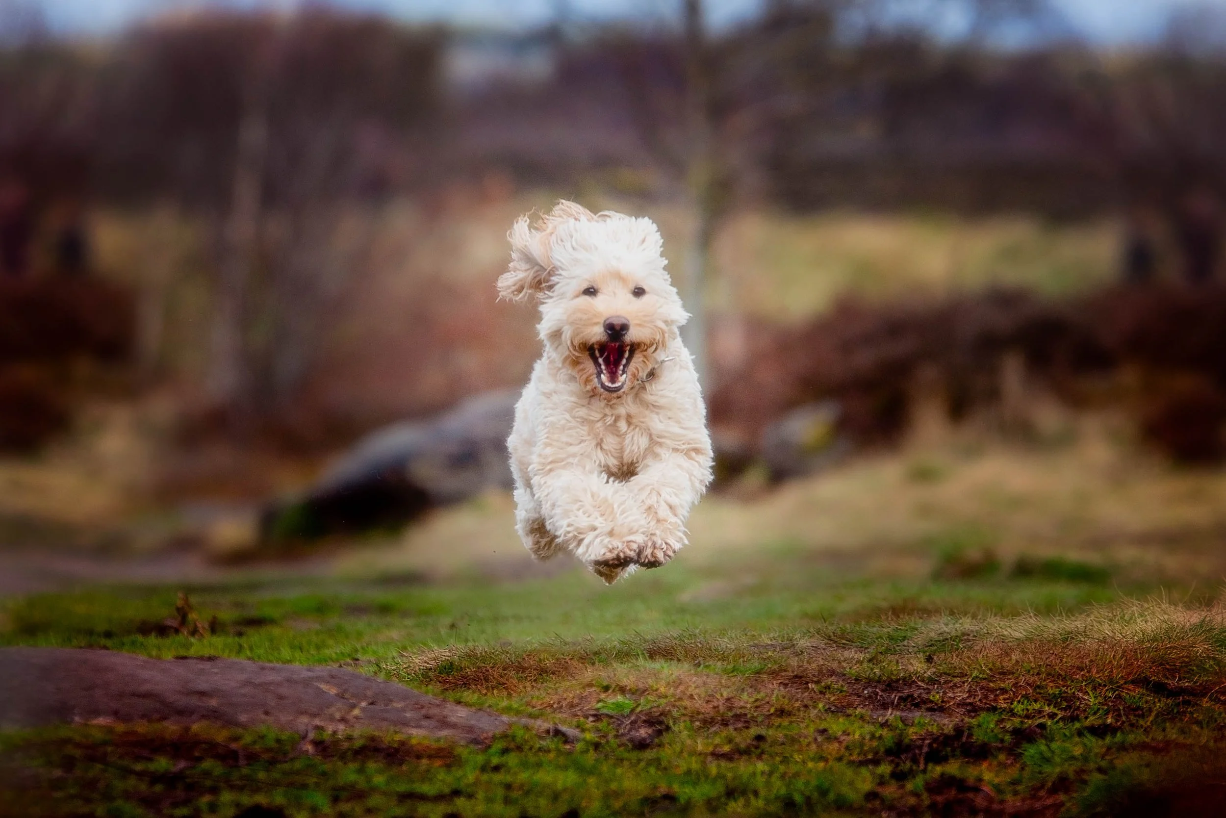 louise rayner (1 of 1)-4.jpg