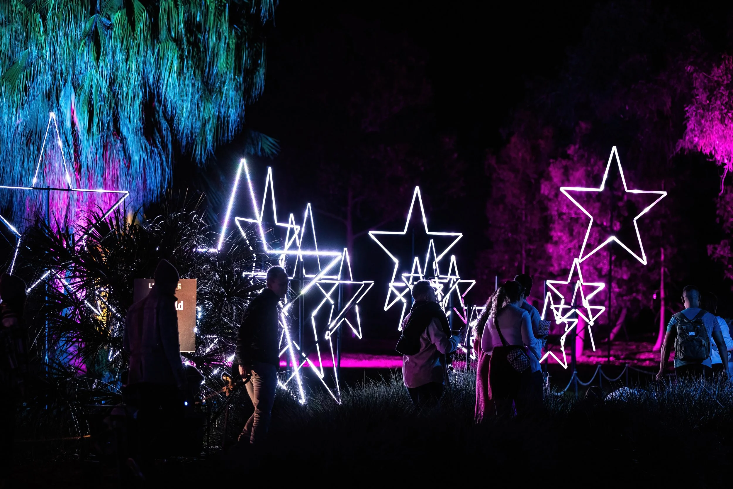 9B5A7181-low-light.jpg