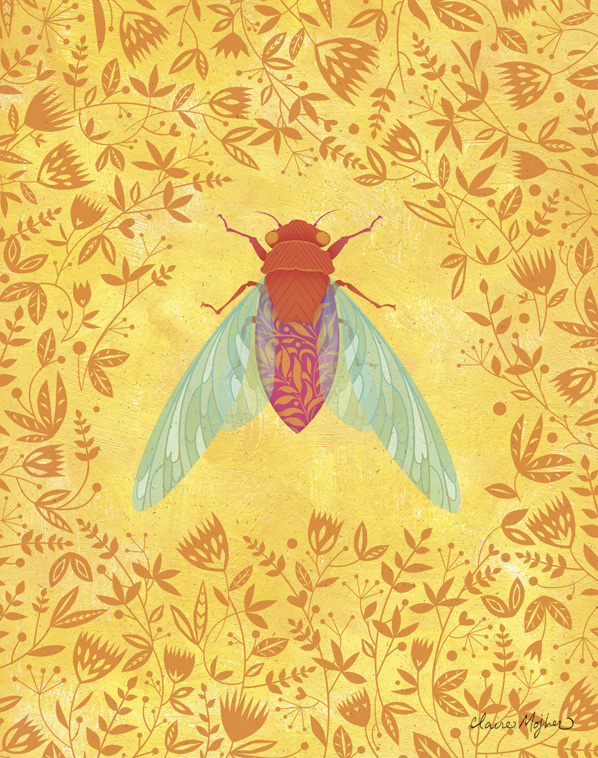 cicada.jpg