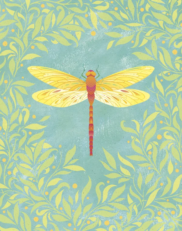 dragonfly.jpg