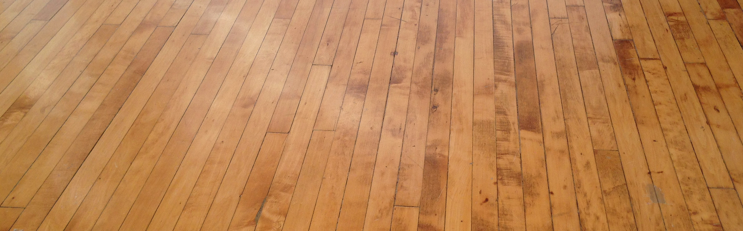 Floor6.jpg