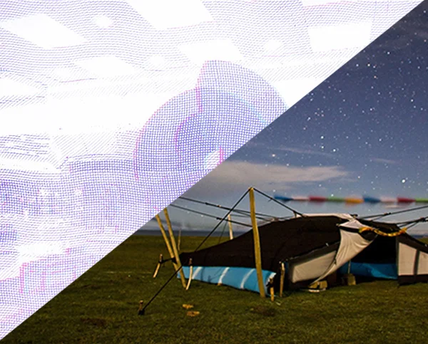 Art Hop / Brian Carey & Patrick D. Wilson