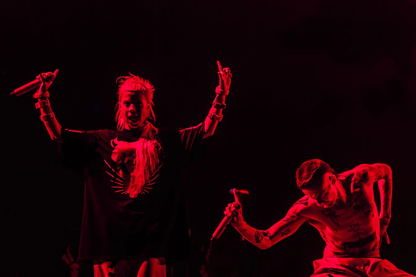 Die Antwoord