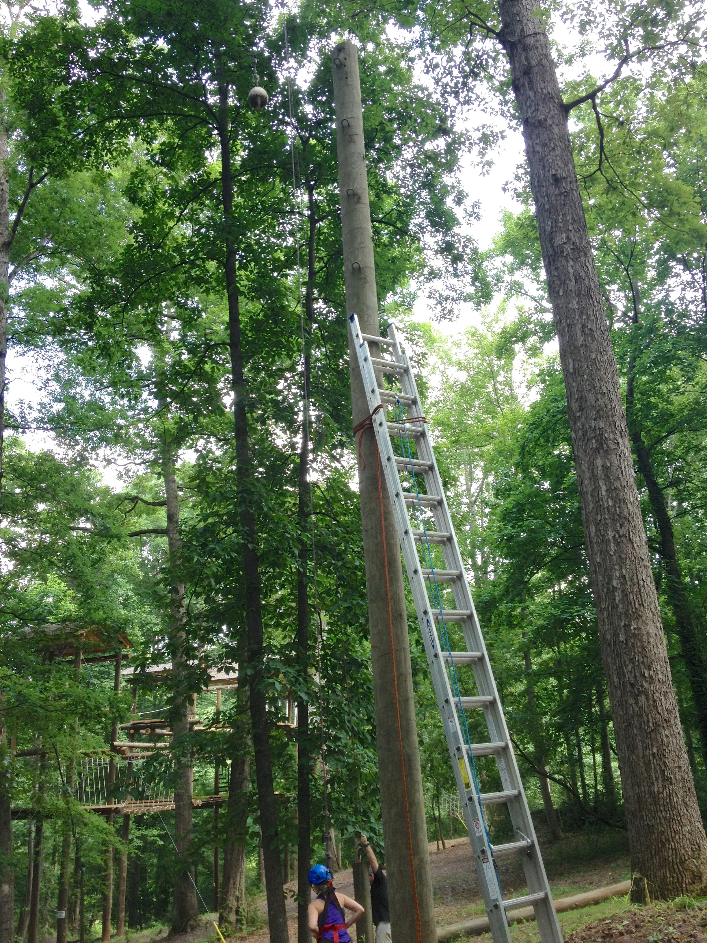 New Year, New Heights