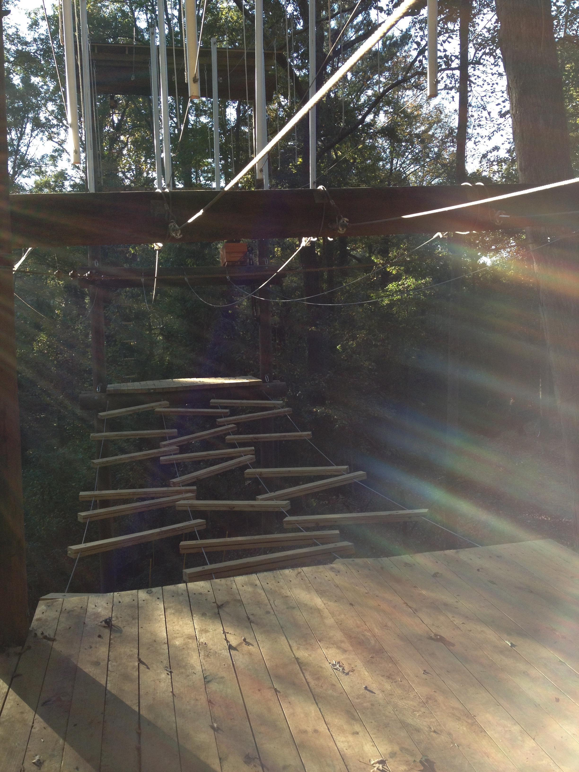 Earthquake Bridge