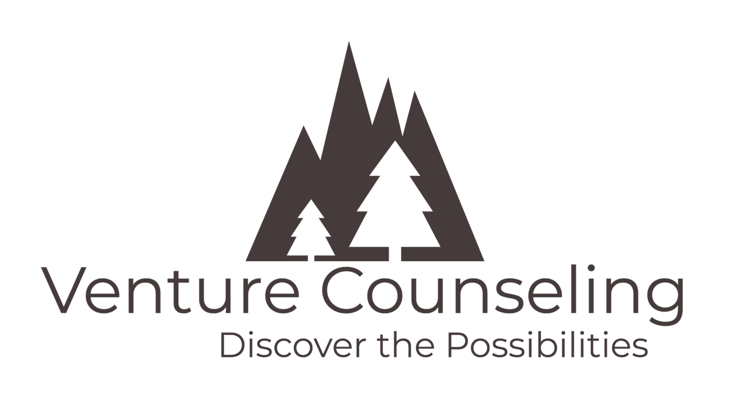 Venture Counseling