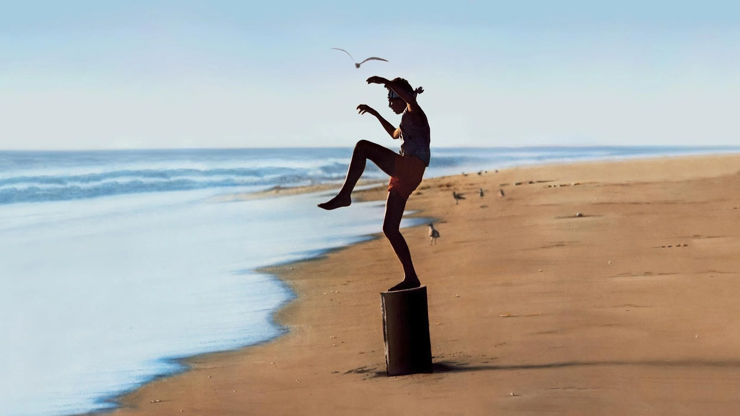 Finding Balance in Life: Lessons from The Karate Kid and a Balance Board