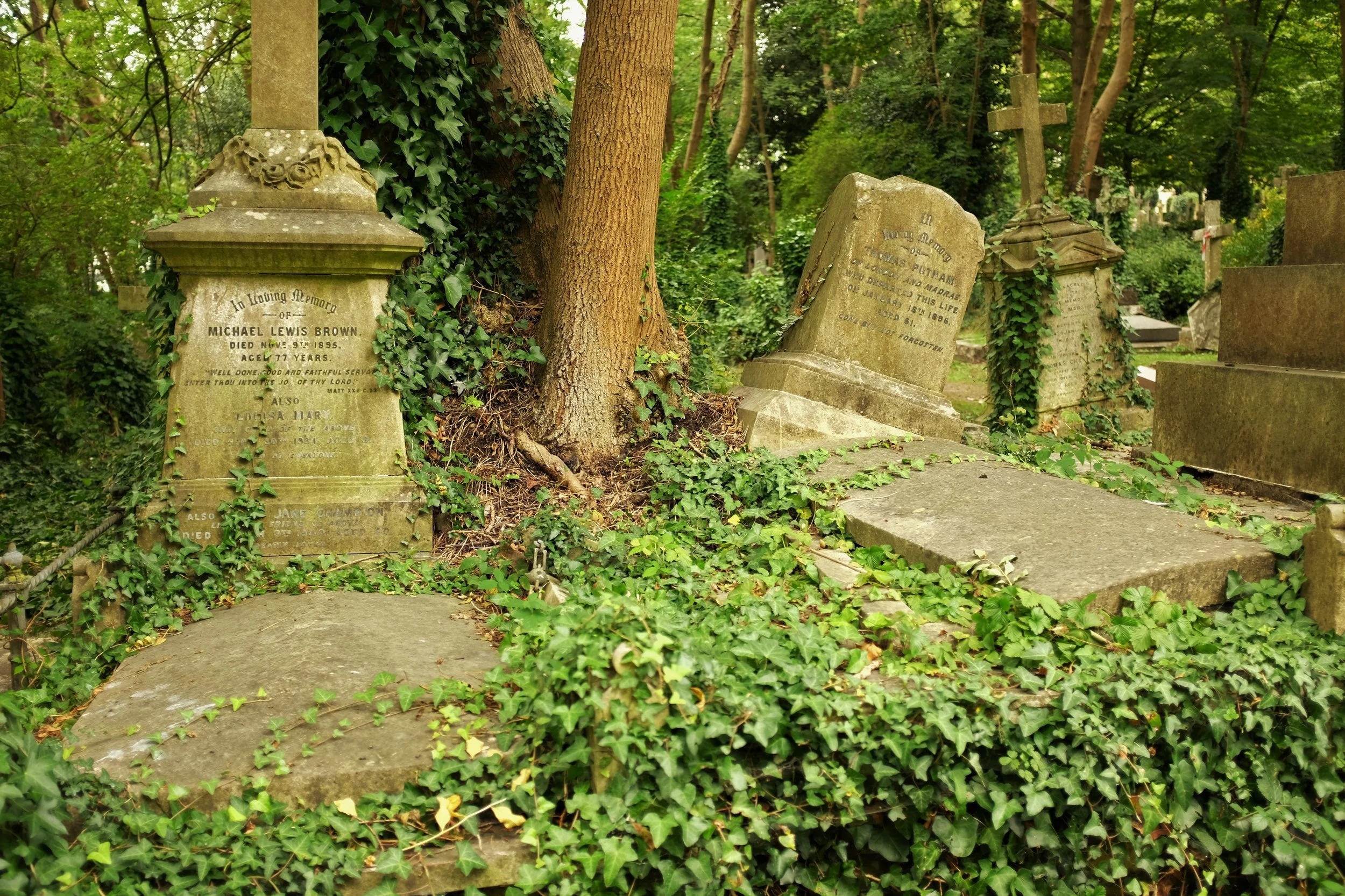 Graves and Greenery: London's Highgate Cemetery