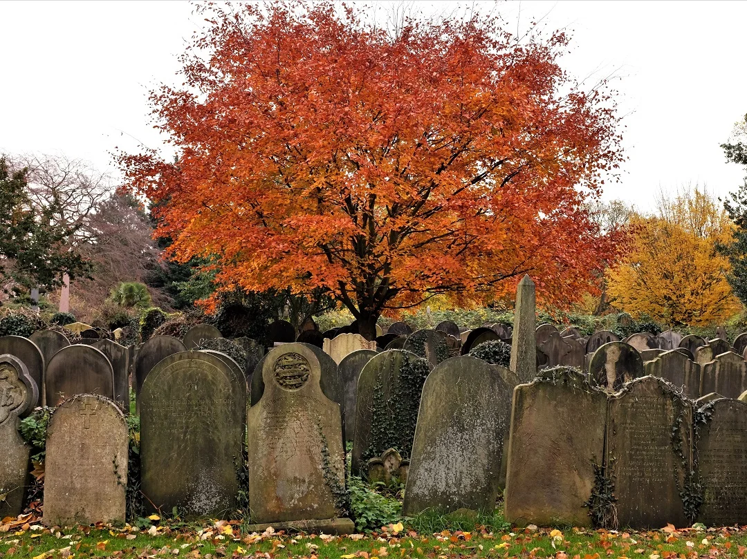Can Cemeteries Be a Tool for Equity?