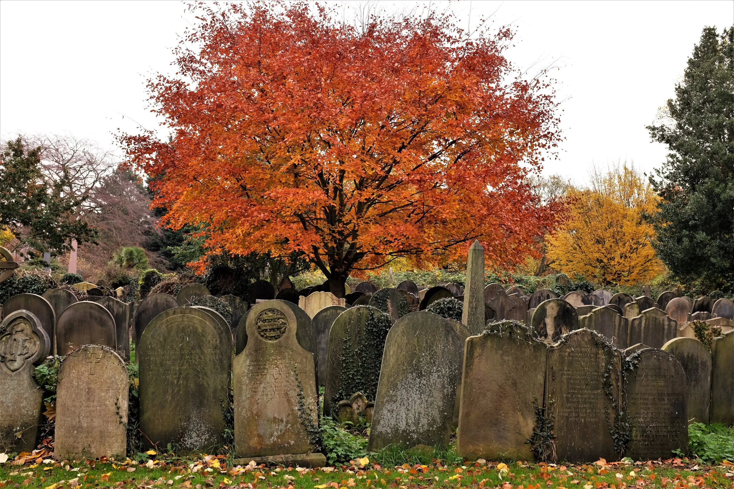 Death in the Digital Age Katie Thornton York Cemetery Equity Fulbright National Geographic Digital Storytelling Fellow Audio Journalist