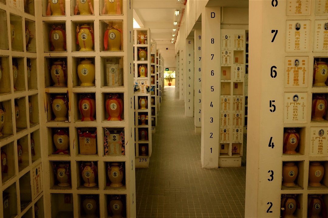 DitDA on 99% Invisible