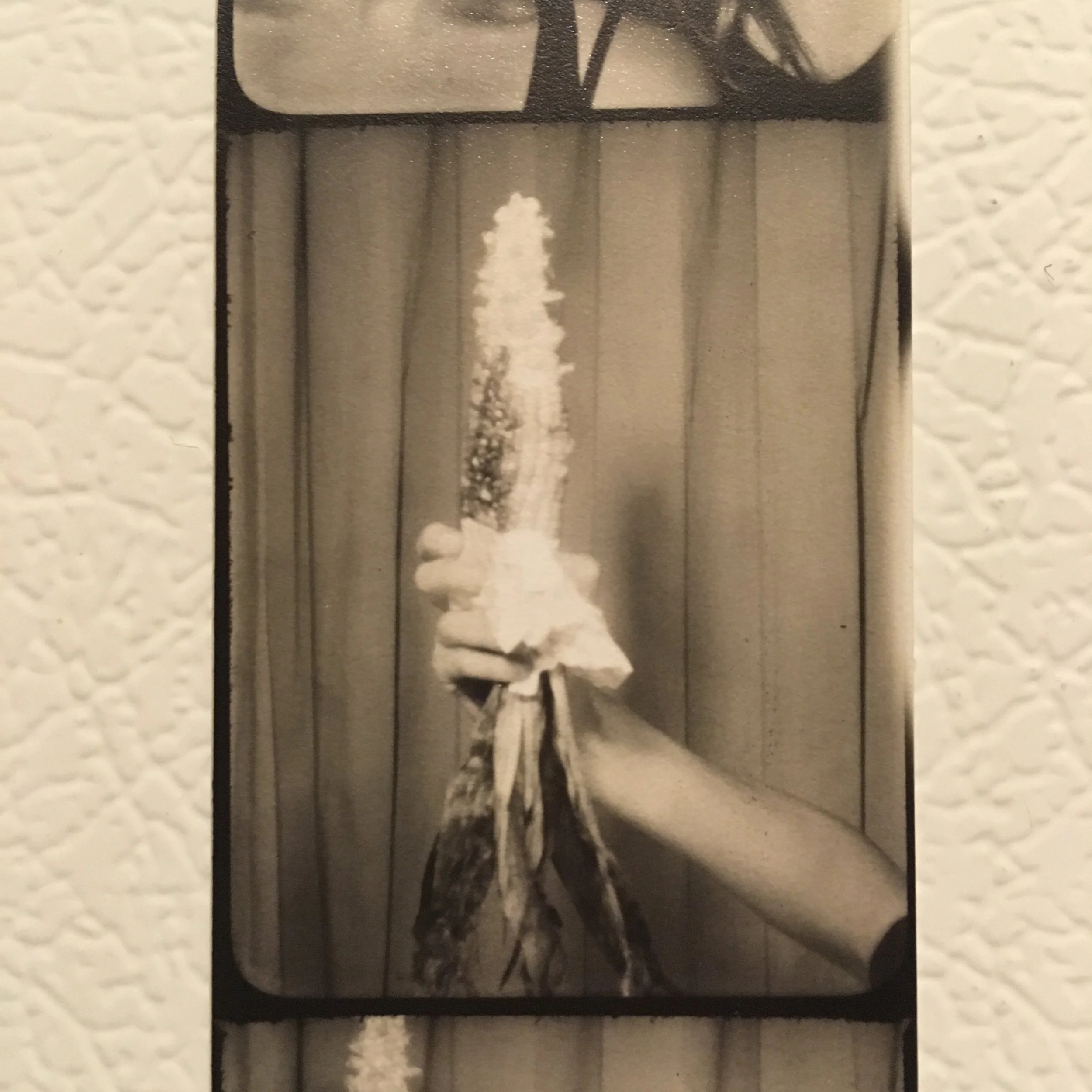 MN State Fair in National Geographic Travel