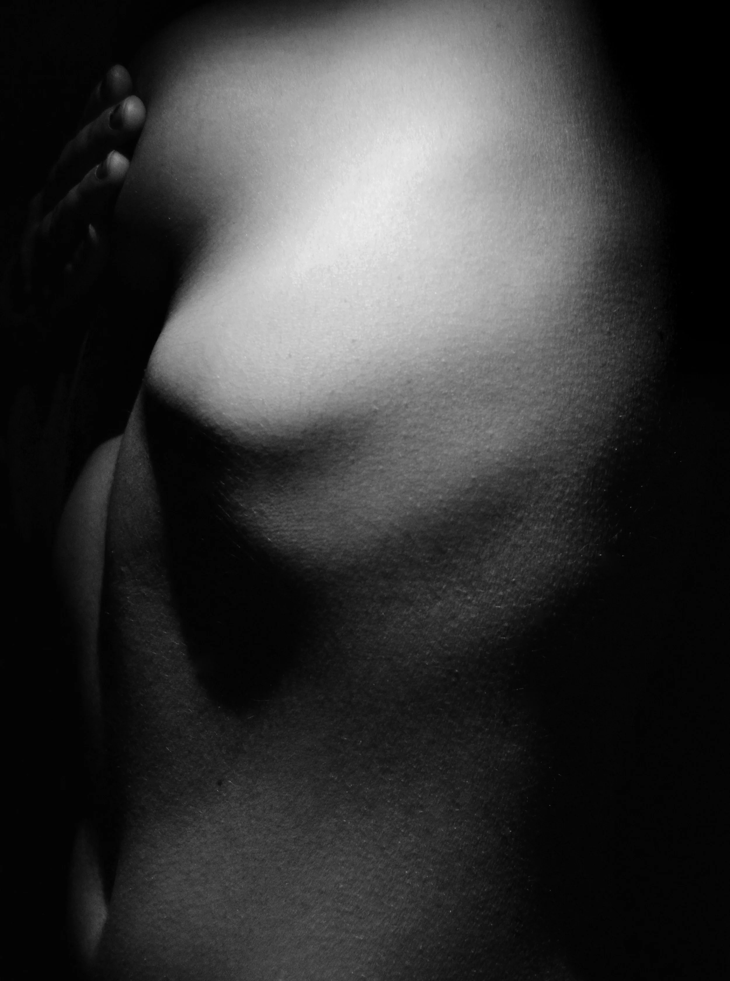 DSC_0274_.jpg
