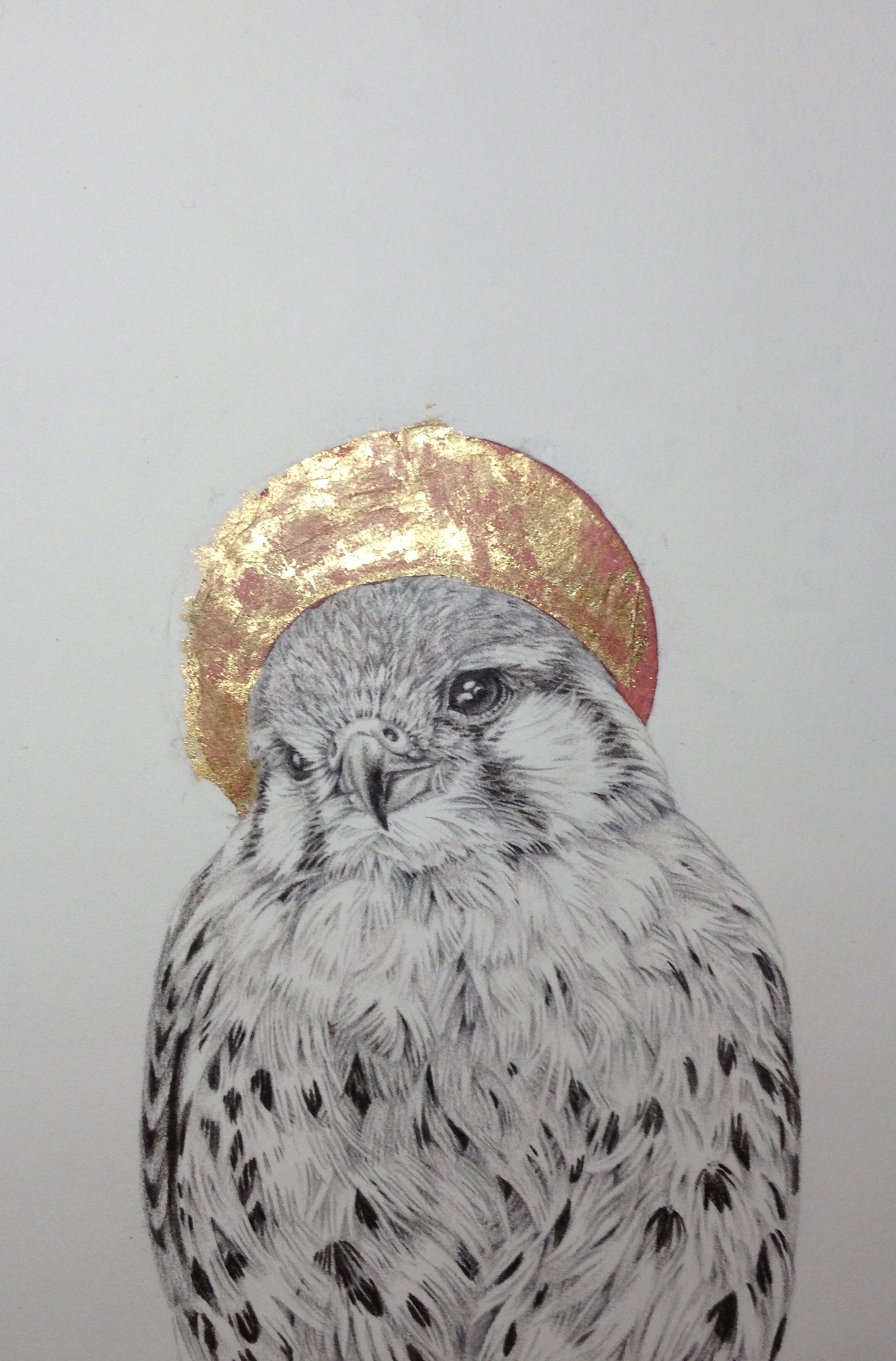 st. hawk.jpg