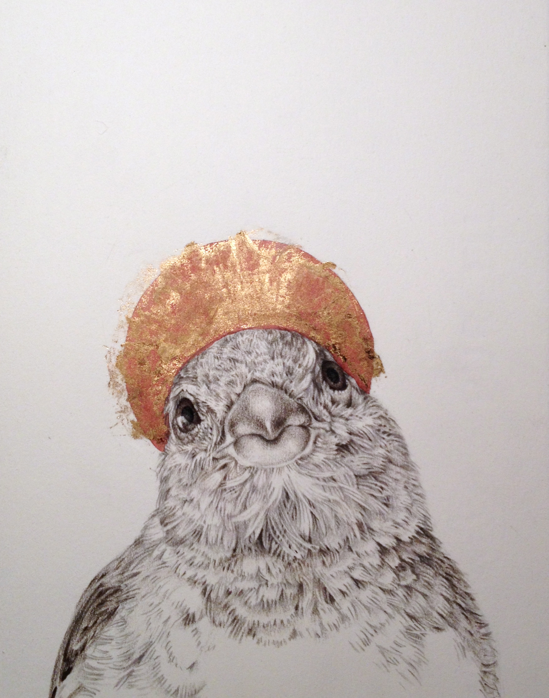 St. Sparrow*.jpg