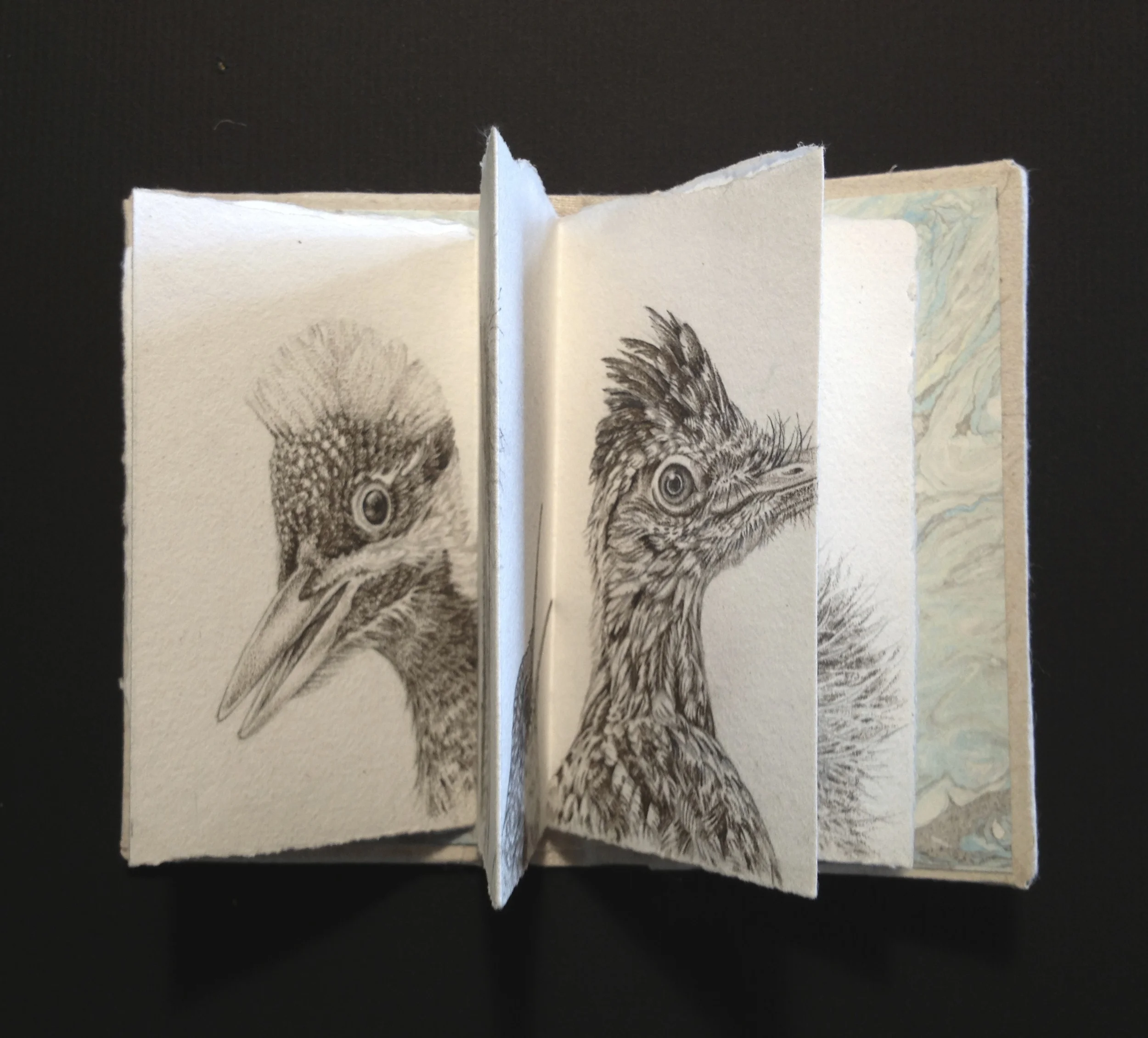 chicks book open.jpg