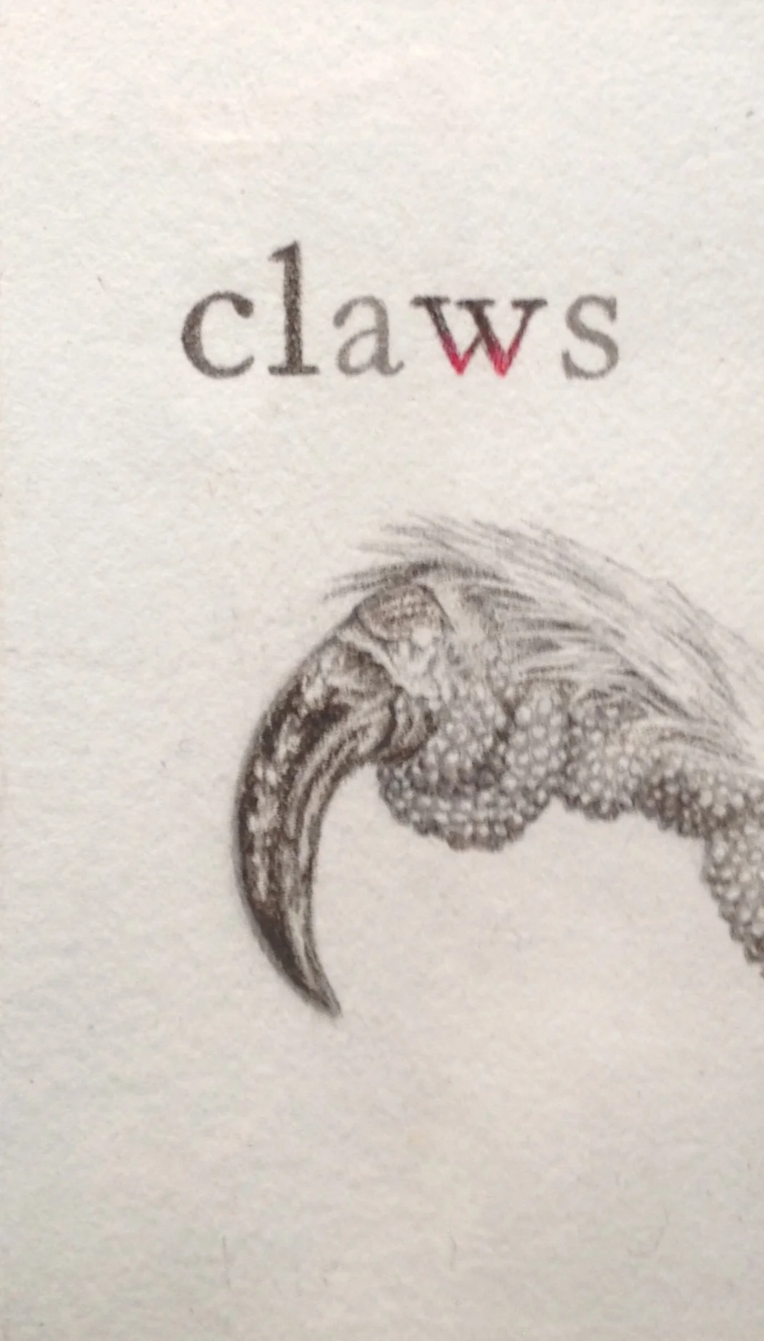 claws cover.jpg