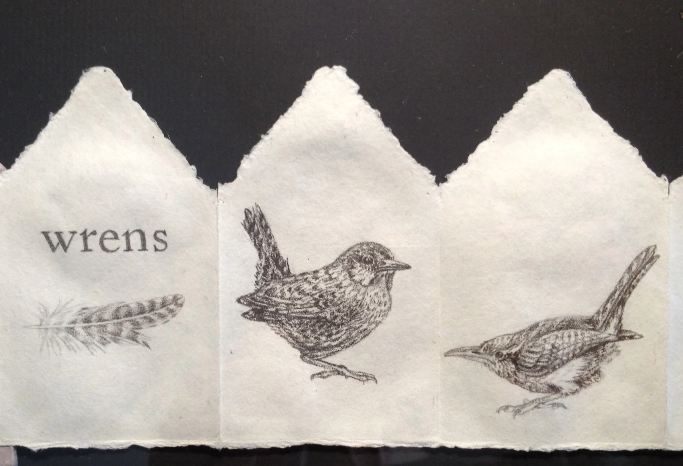 wrens1.jpg