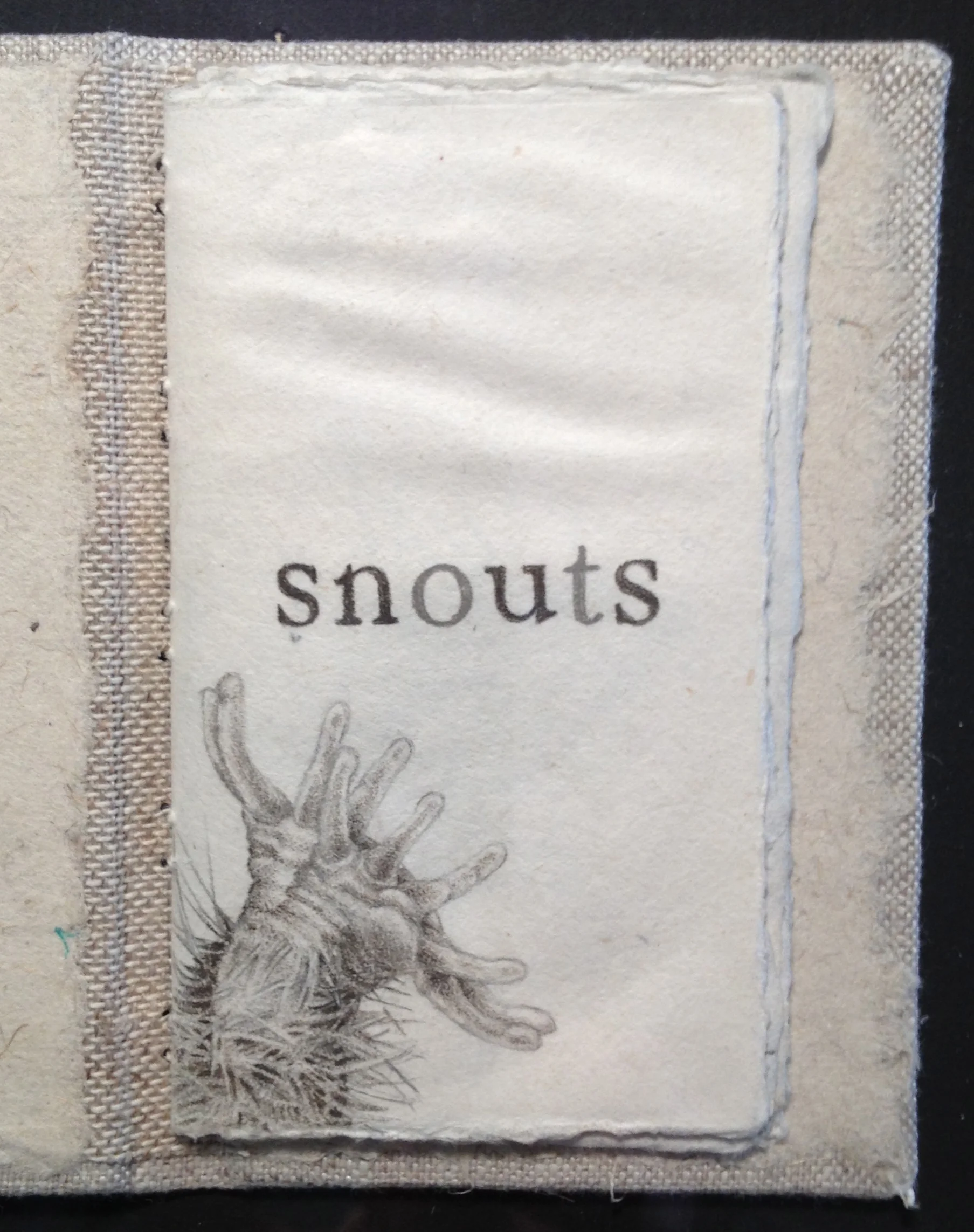 snouts title.jpg