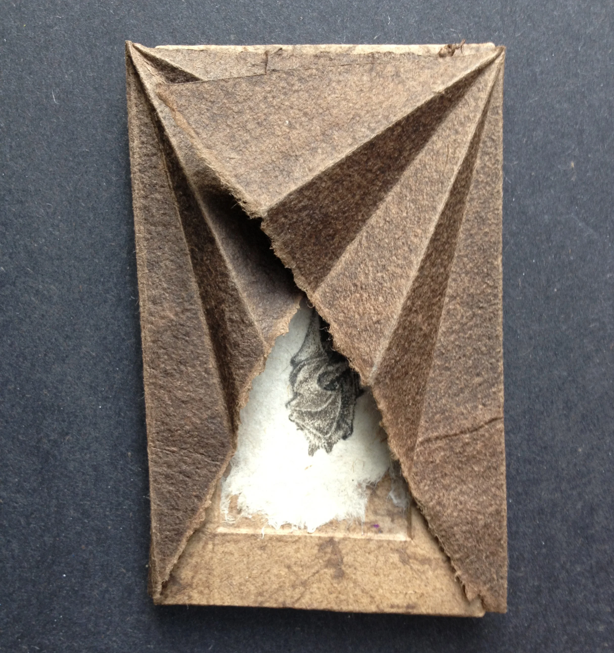 bats closed icon1.JPG