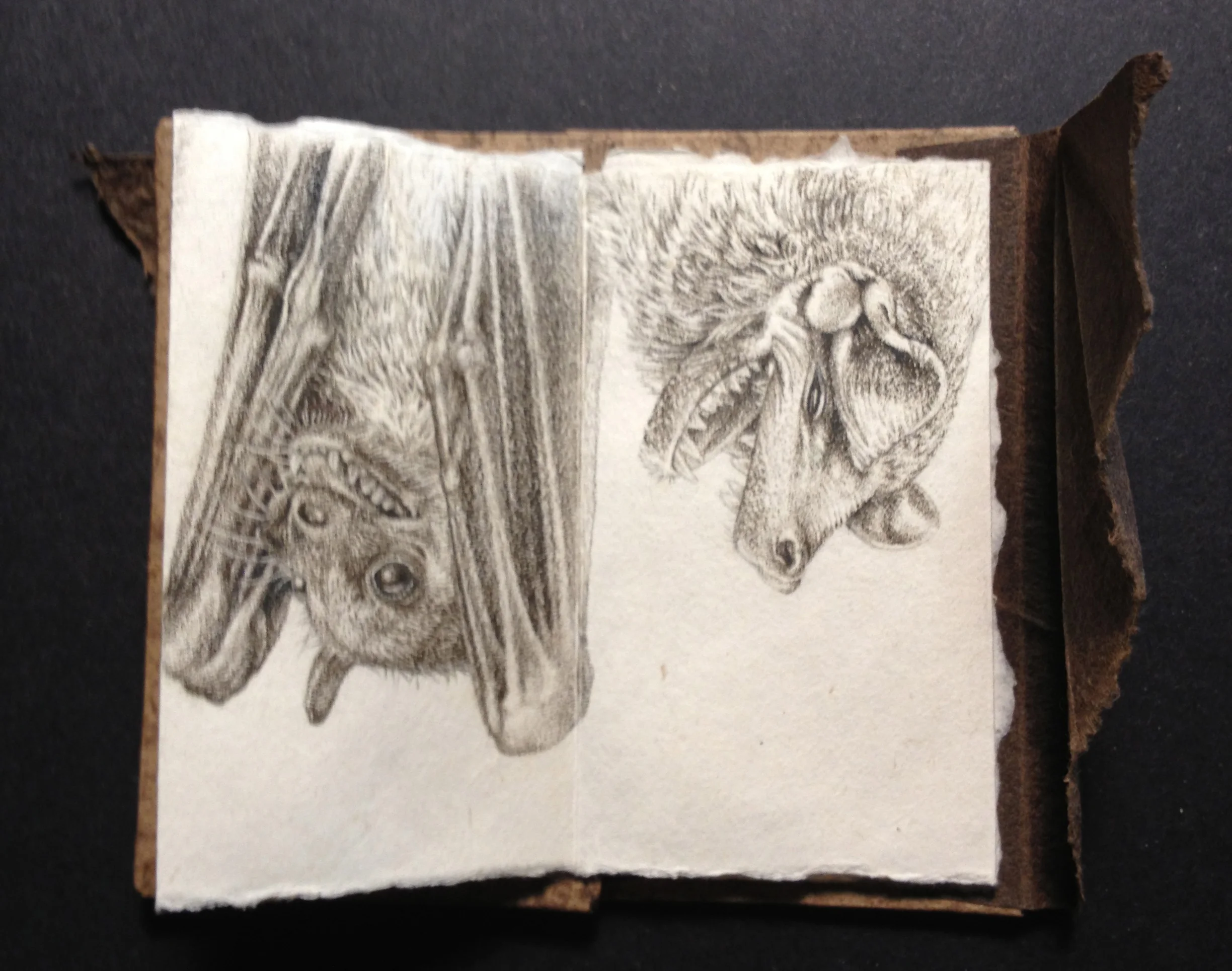bats icon detail 2.jpg