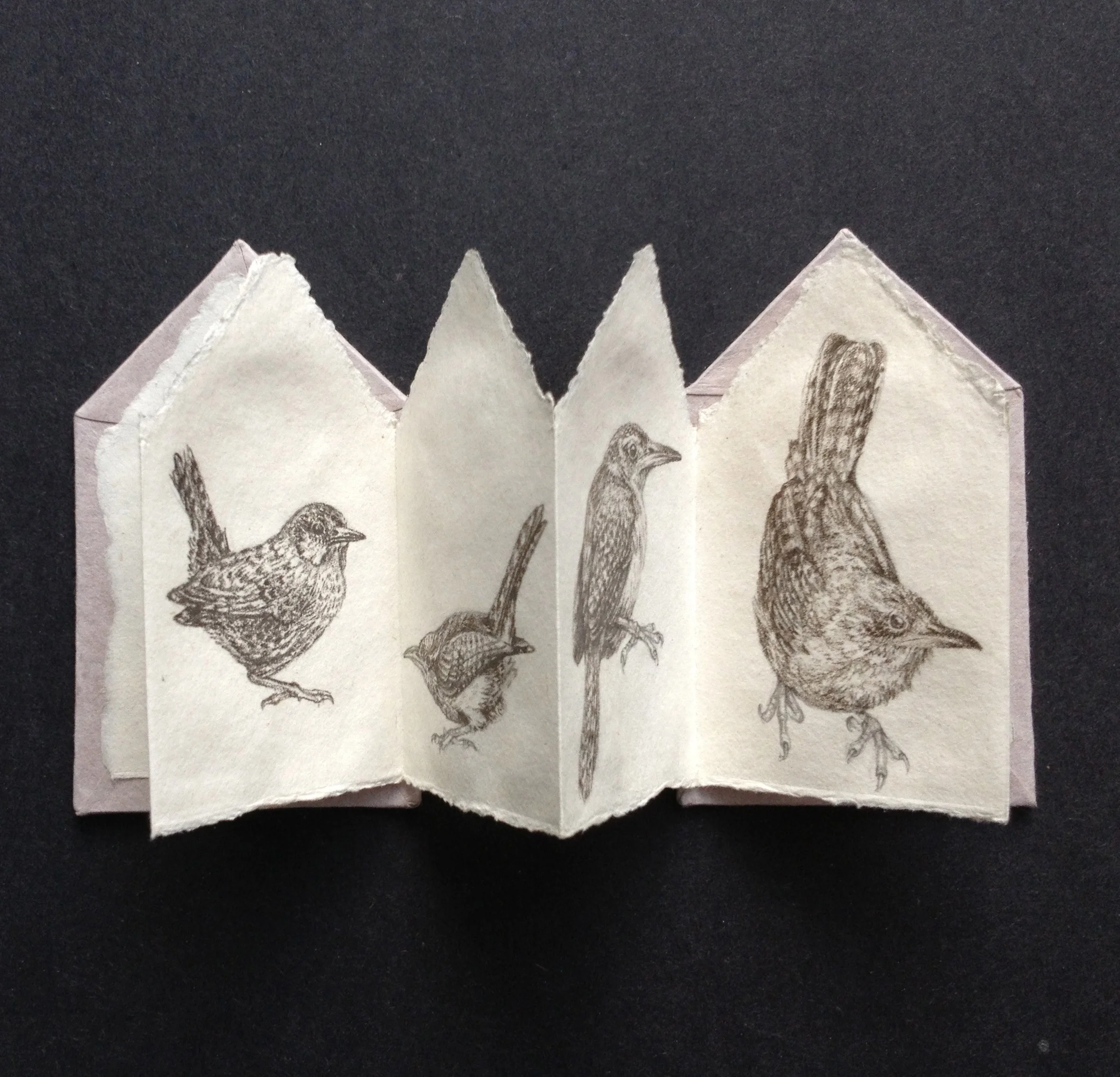 wrens open thumbnail2.JPG