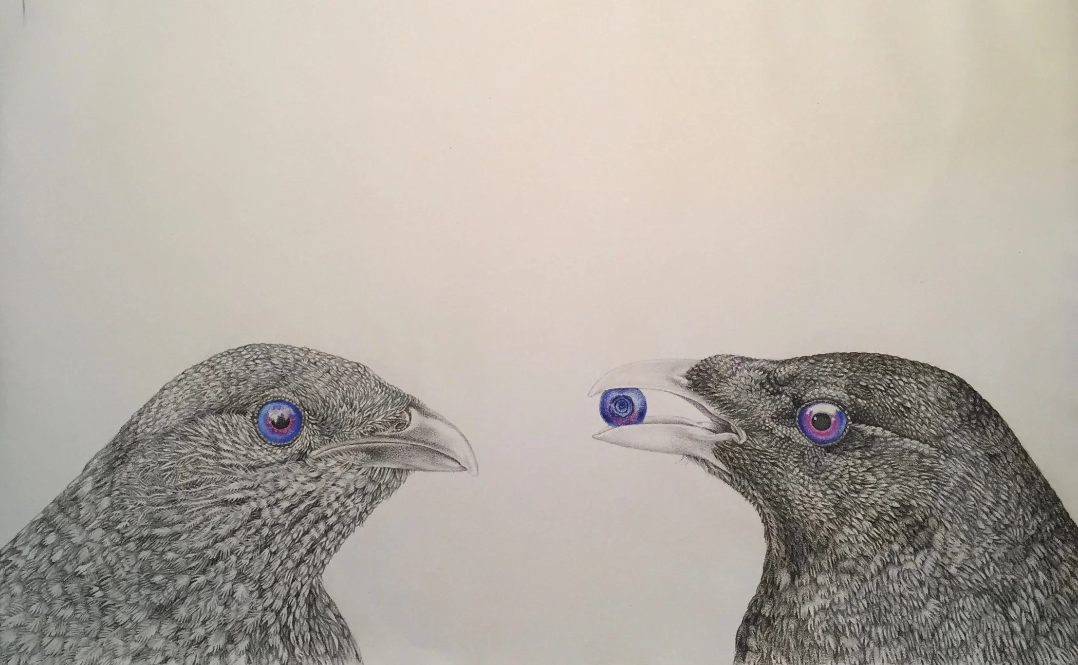 bowerbirds gift copy.jpg