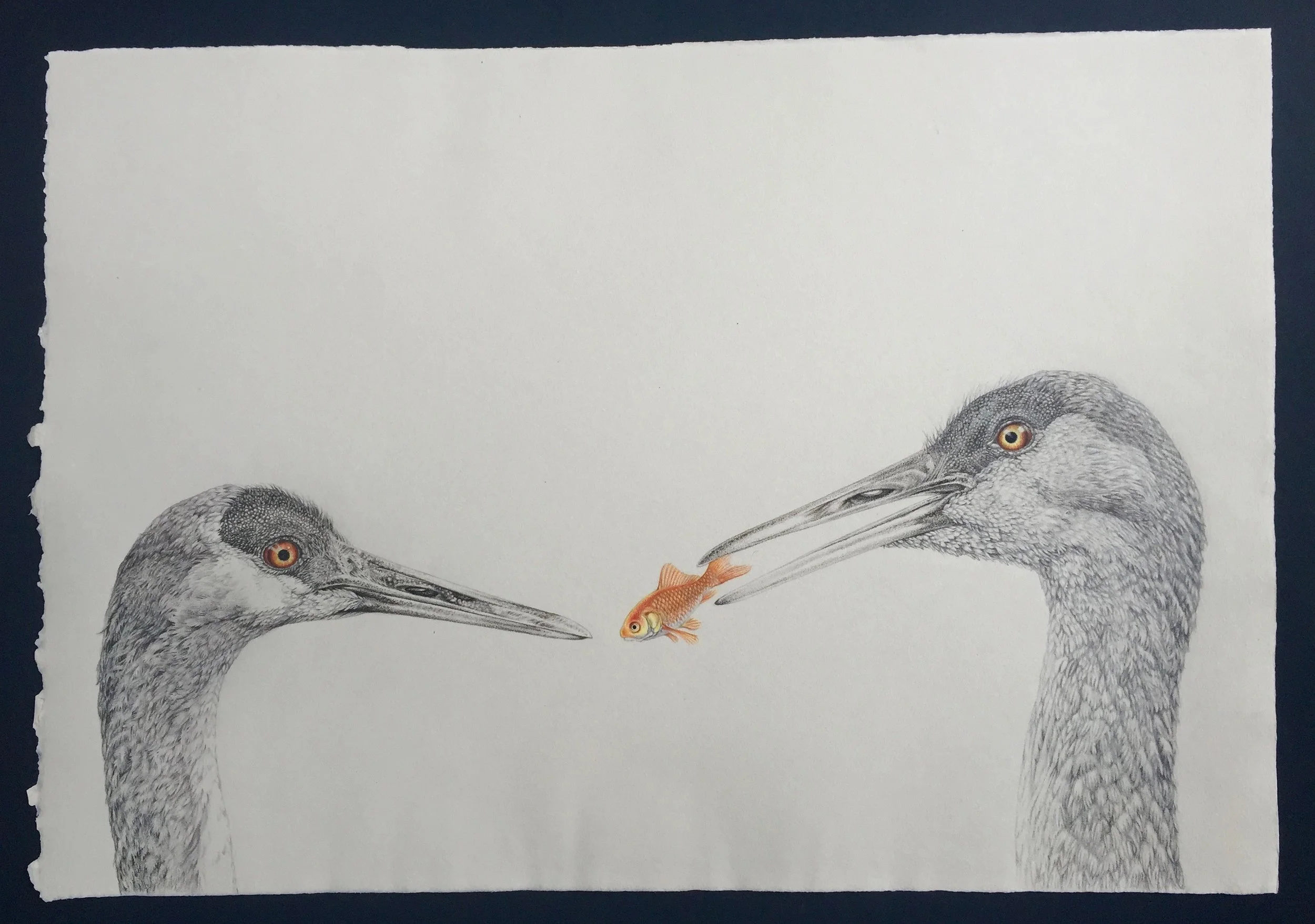 cranes.jpg