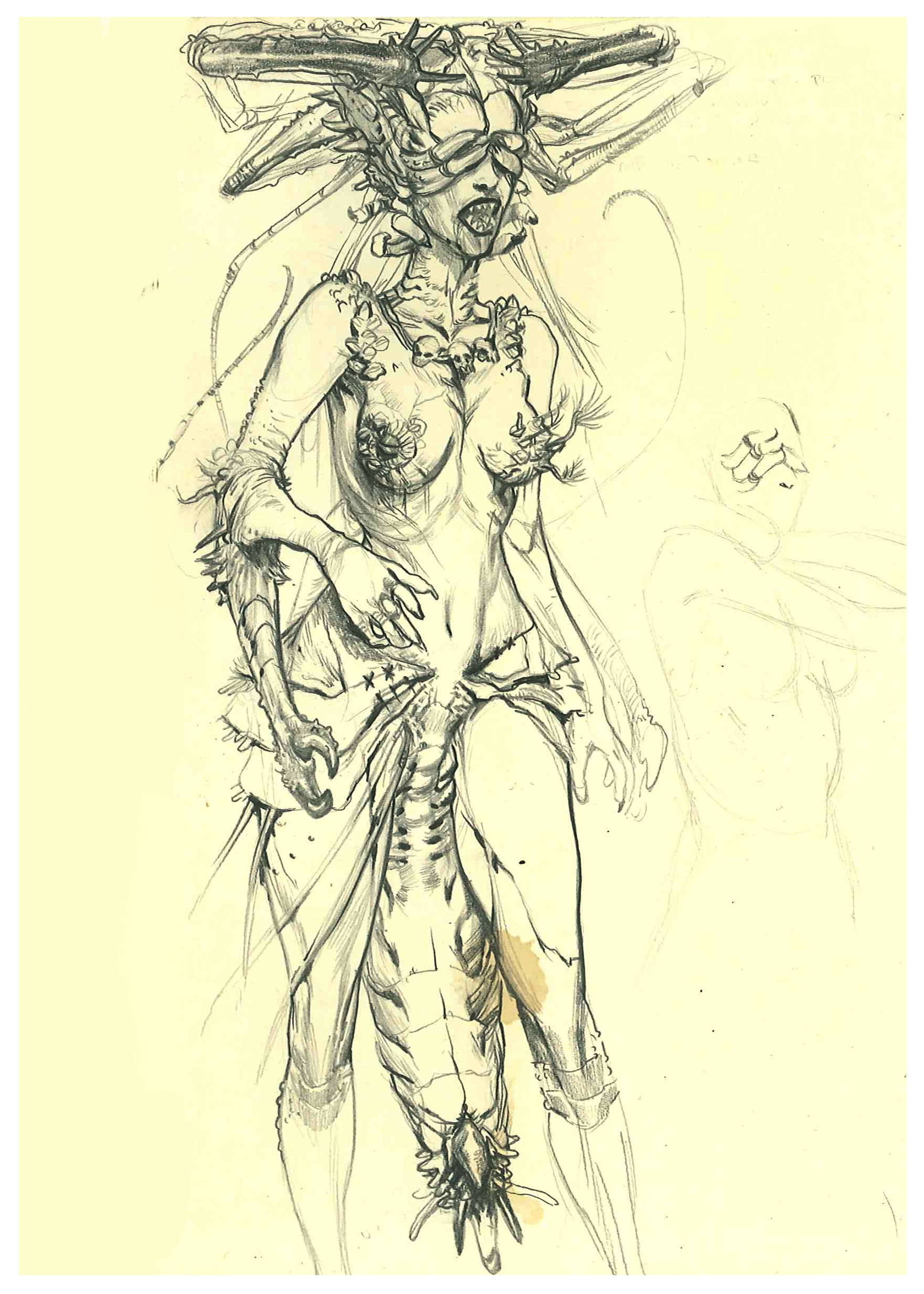 stich witch.jpg