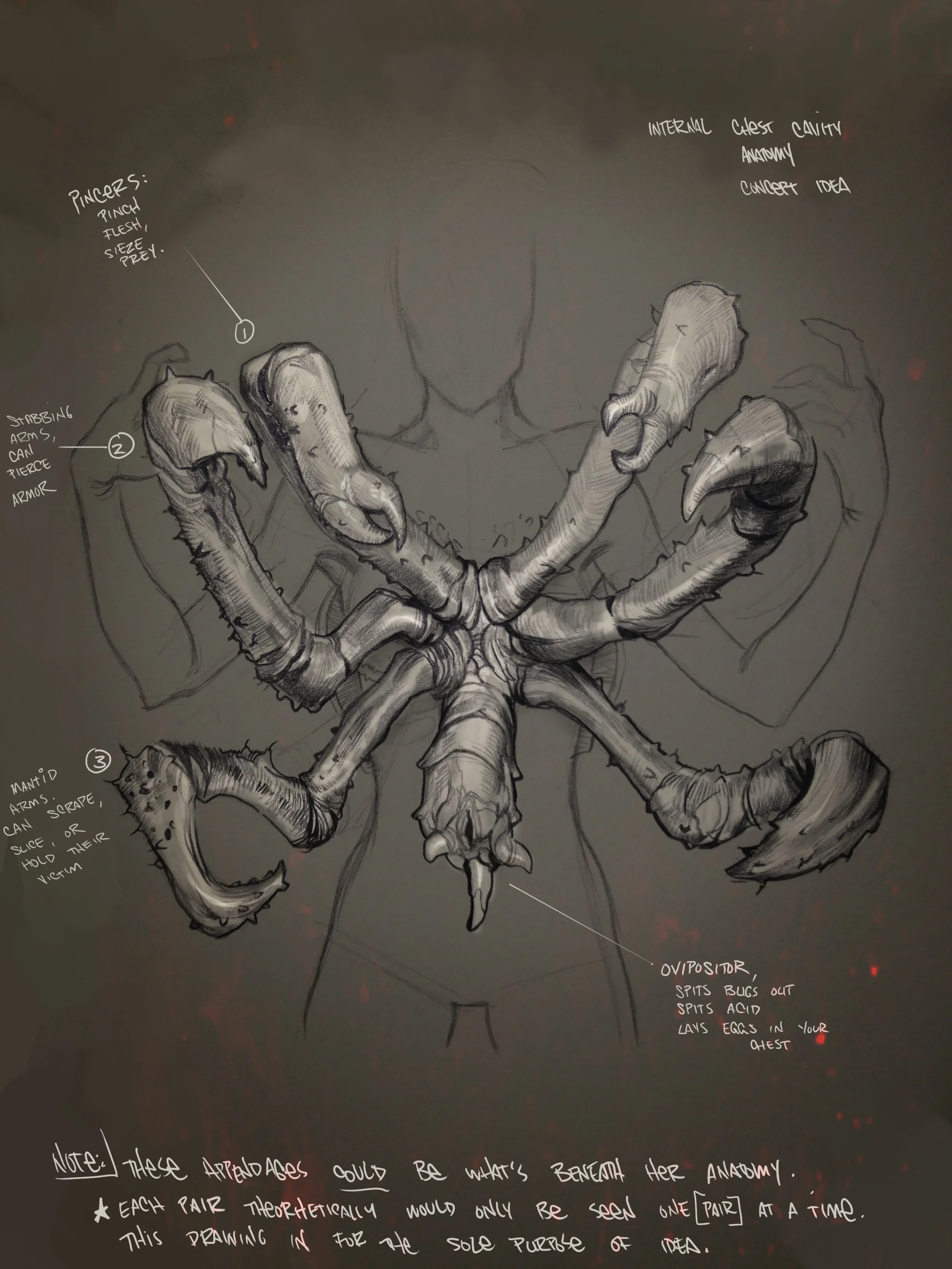 Dvorah (2).jpg